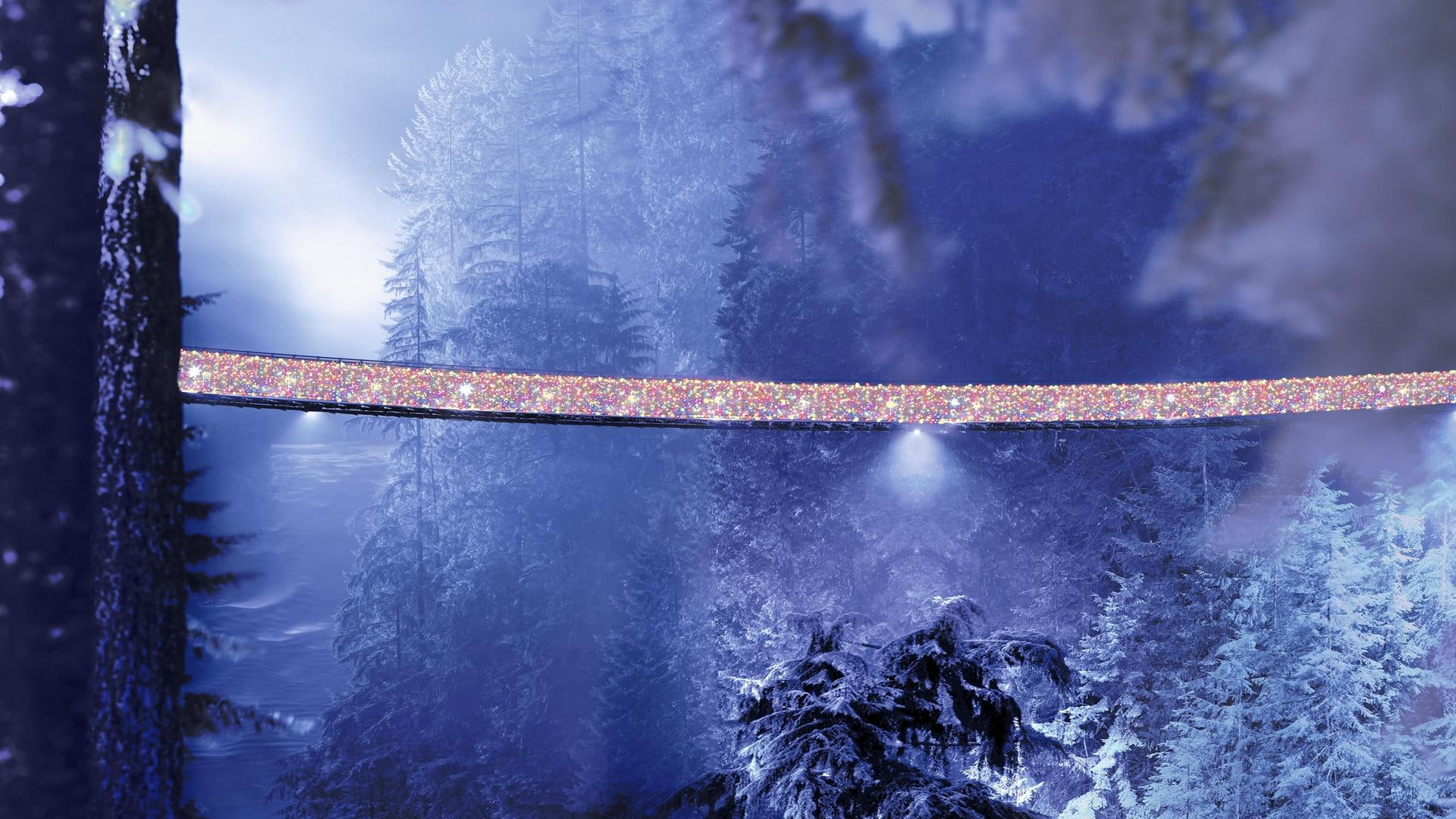 forest, river, suspension, capilano, 1080P, nature and landscapes, bridge, wonderful, christmas, suspention, HD Wallpaper