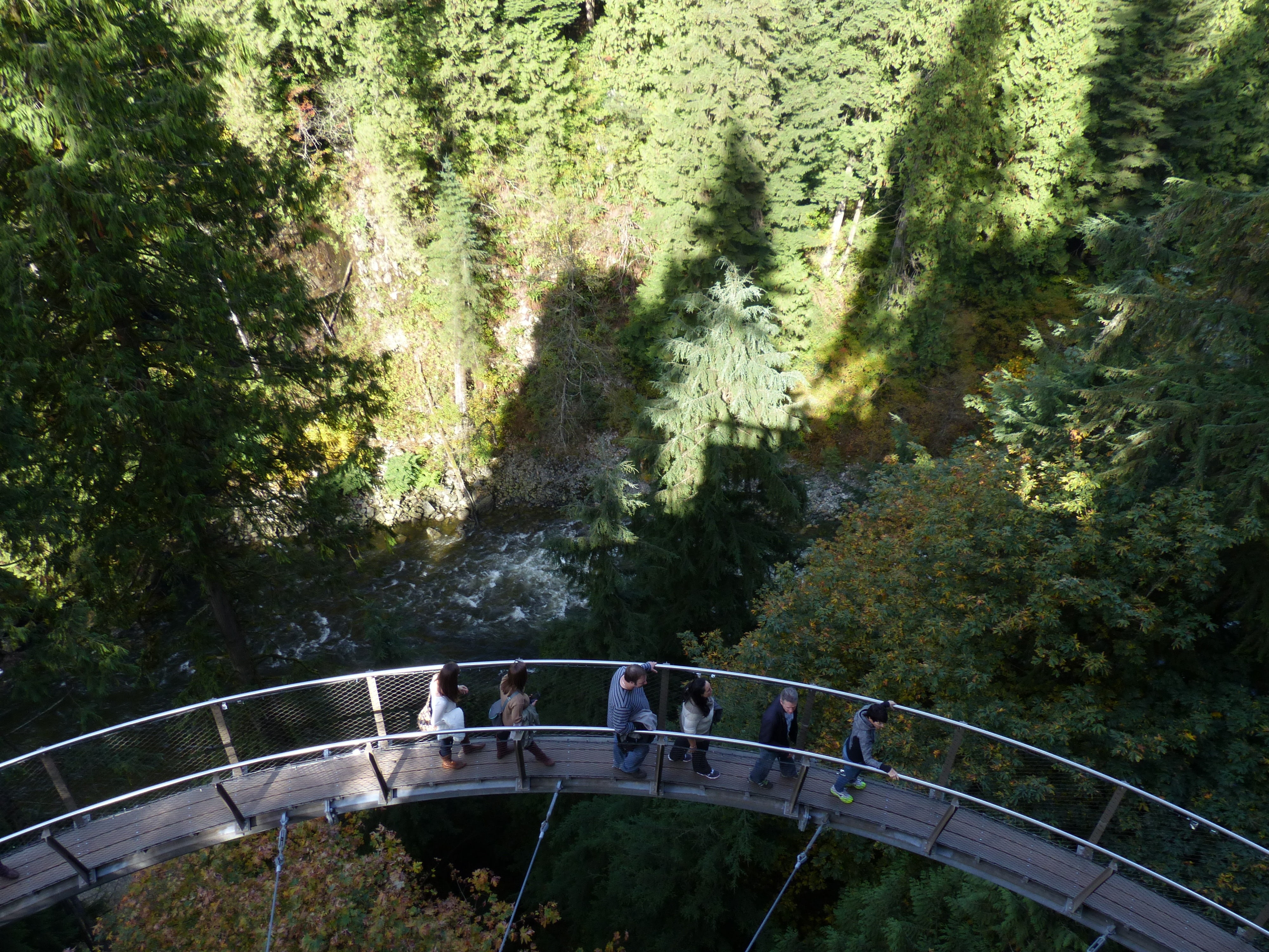 metropolis, vancouver, steel, old, architecture, sky walk, connection, bridge, water, footbridge, transportation, capilano canyon, attraction, nature, beauty in nature, HD Wallpaper