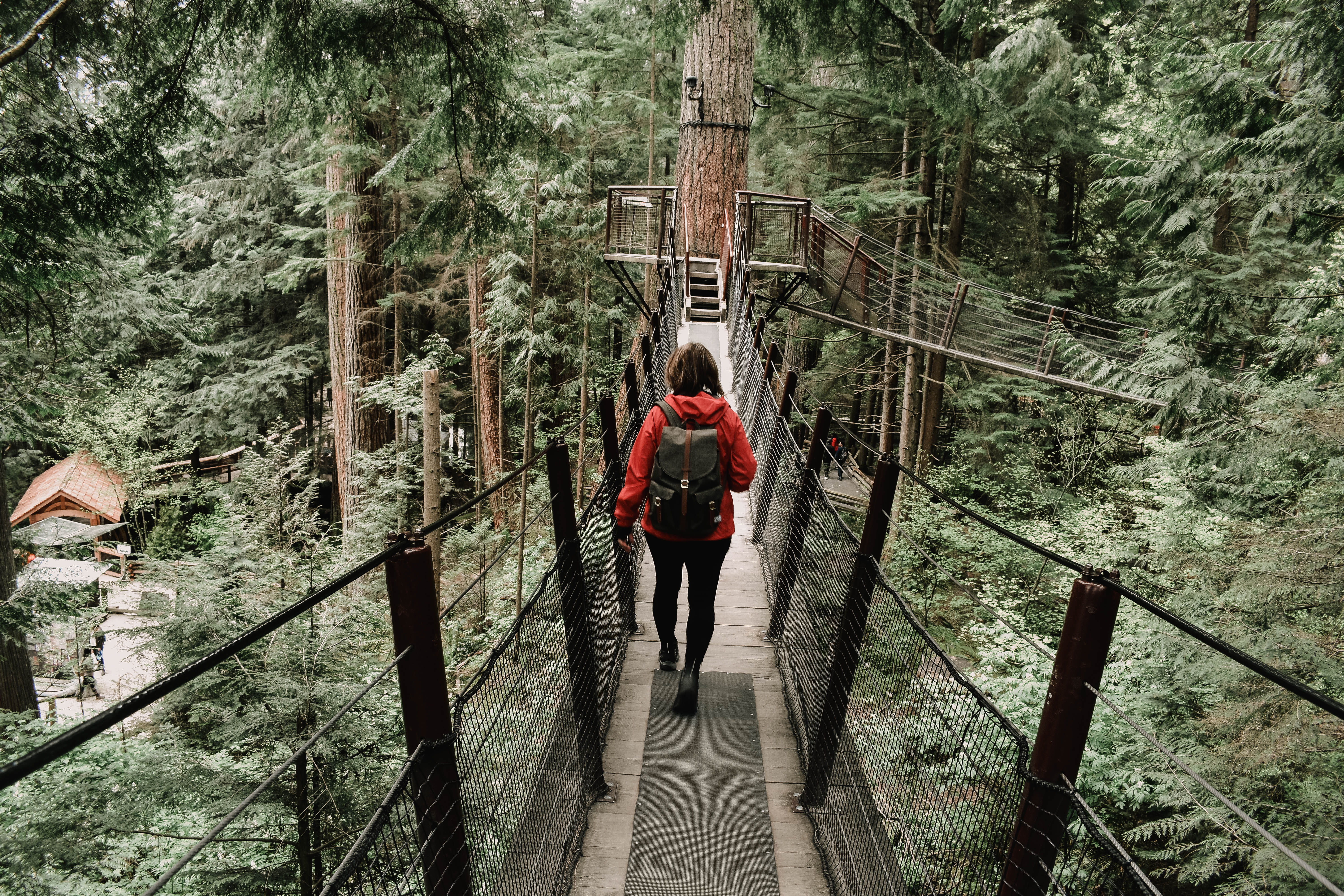 walk, west vancouver, one person, bridge - man made structure, plant, woodland, nature, british columbia, outdoors, steps and staircases, land, bridge, HD Wallpaper