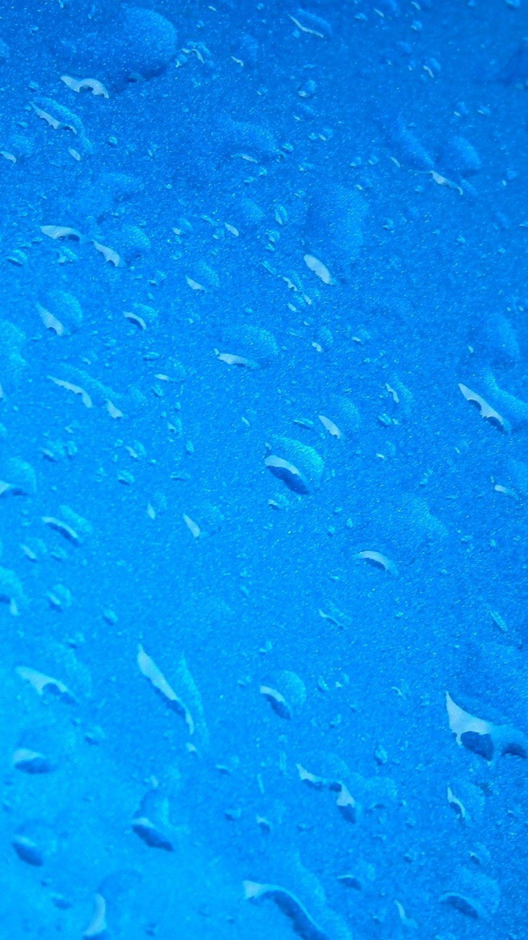 full frame, school of fish, animal, no people, x, water, swimming, group of animals, 1080x1920 px, marine, sea, underwater, art, beaches, px, nature, blue, Phone HD Wallpaper