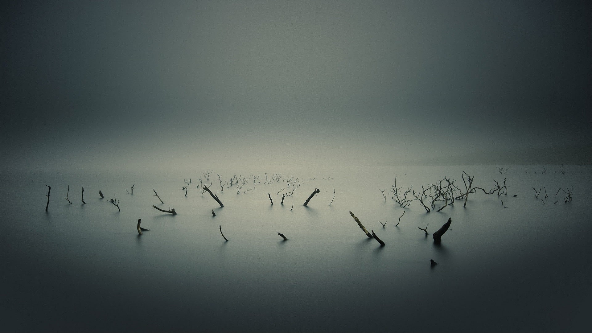long exposure, branch, sea, minimalism, nature, water, exposure, sticks, horizon, sky, landscape, 1080P, long, HD Wallpaper