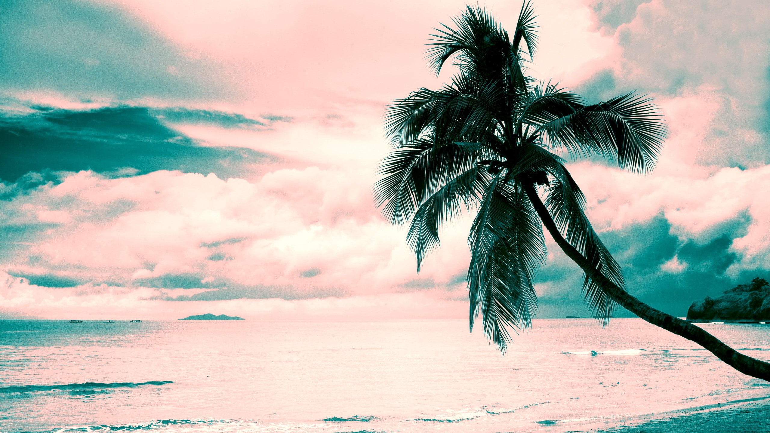 clouds, Pink, beach, Turquoise, 2K, Coconut palms, Pink clouds, HD Wallpaper
