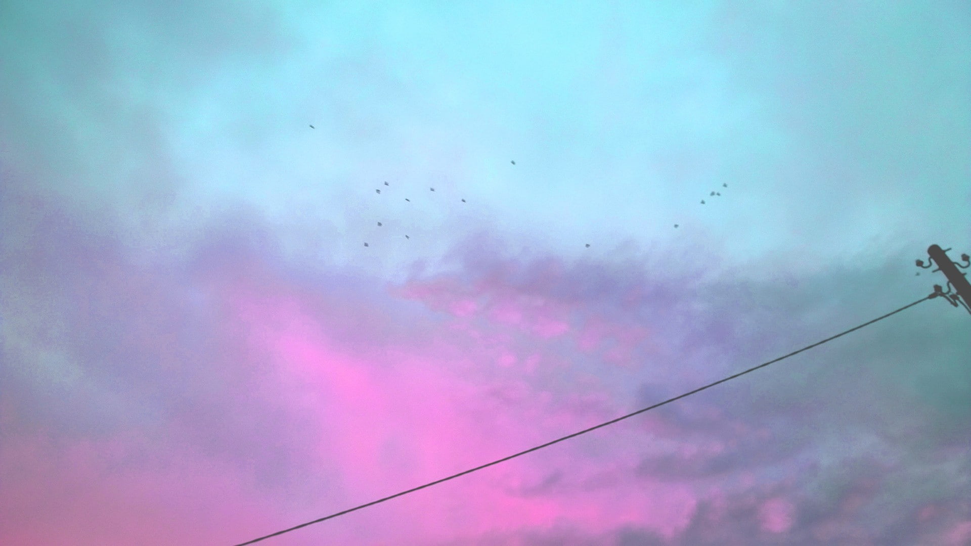 animal wildlife, photo manipulation, cloud - sky, pink, low angle view, 1080P, beauty in nature, cable, nature, bird, day, group of animals, flock of birds, HD Wallpaper