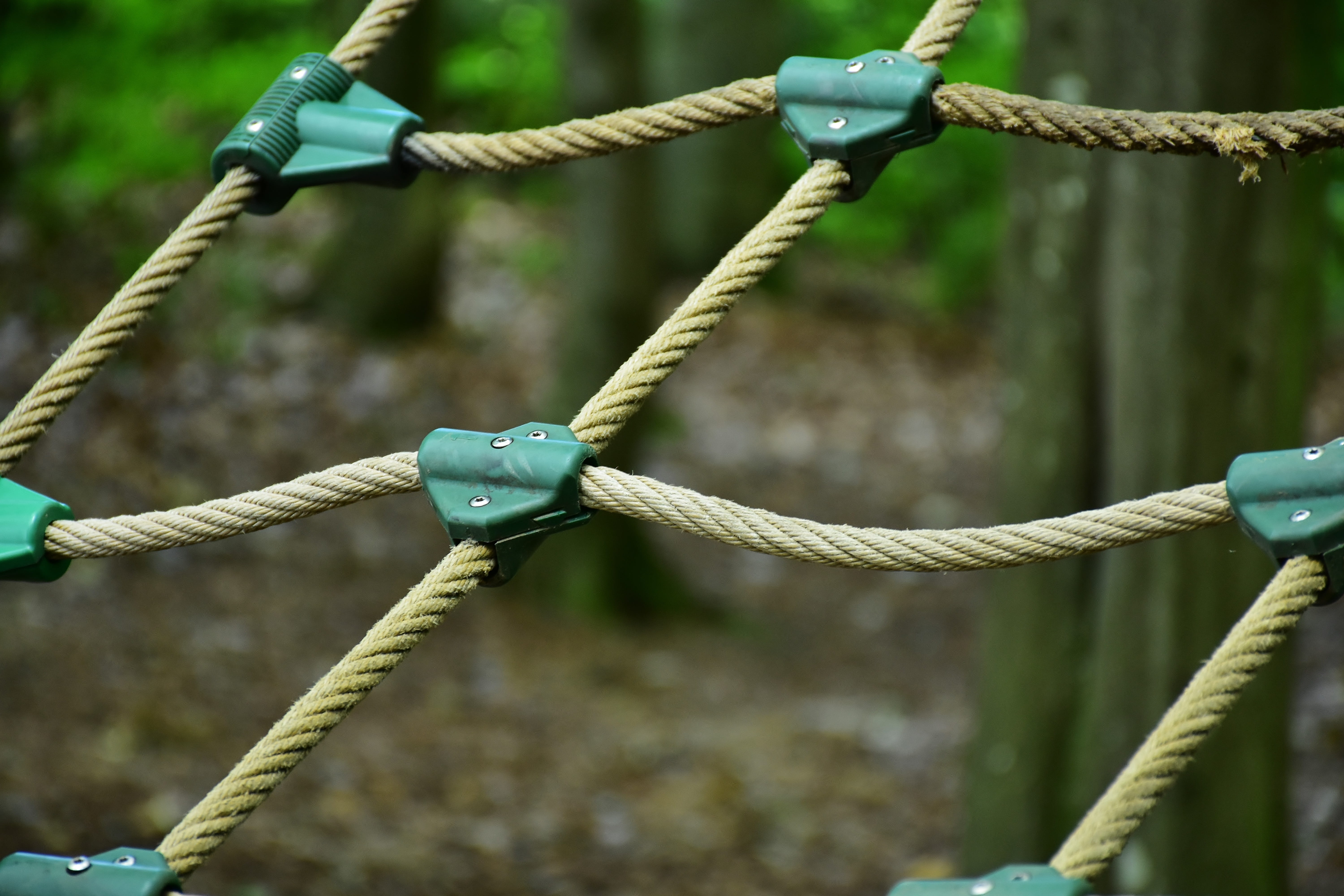 close up, forest, cordage, chain, drex, climbing forest, High Ropes Course, dangerous, protection, climbing garden, exhausting, high, crown, cable, Climb, HD Wallpaper
