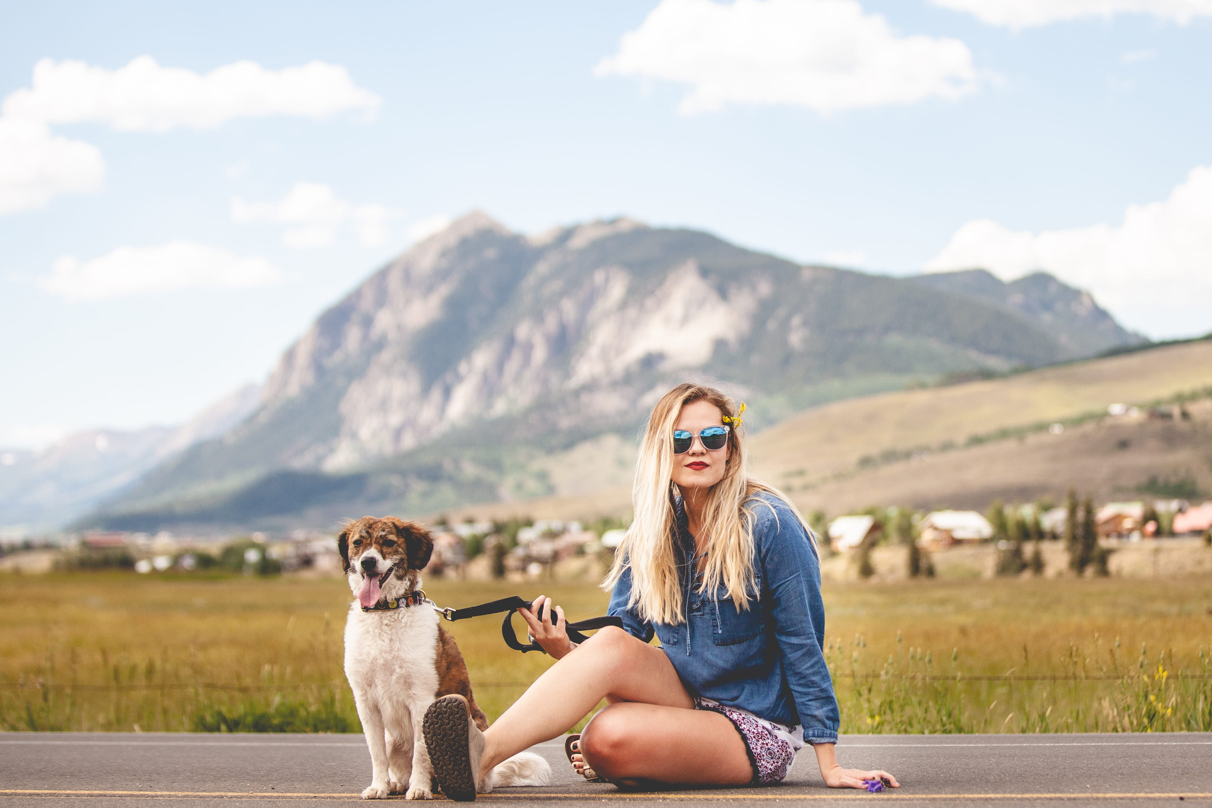 leisure activity, canine, adult, sit, animal, chimichanga, one animal, model, positive emotion, mammal, backdrop, mountain range, crested butte, sunglasses, HD Wallpaper