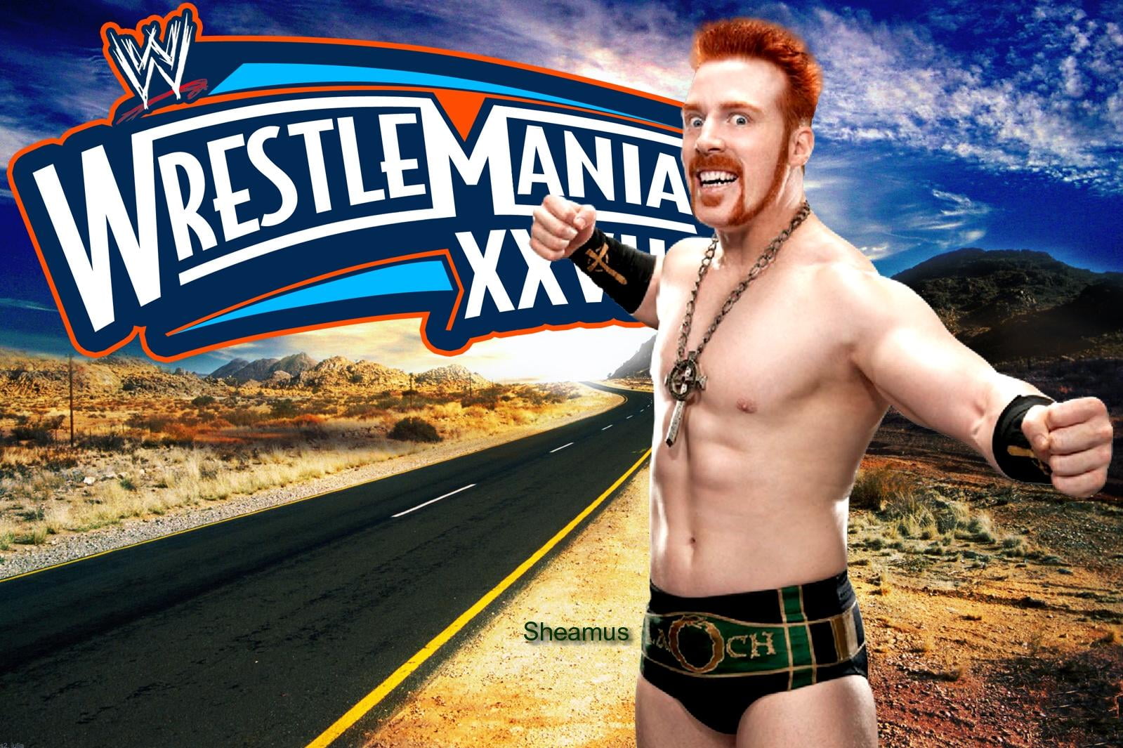 casual clothing, wrestler, front view, emotion, mania, young adult, 720P, wwe champion, one person, young men, wrestle, digital, wrestlemania, HD Wallpaper