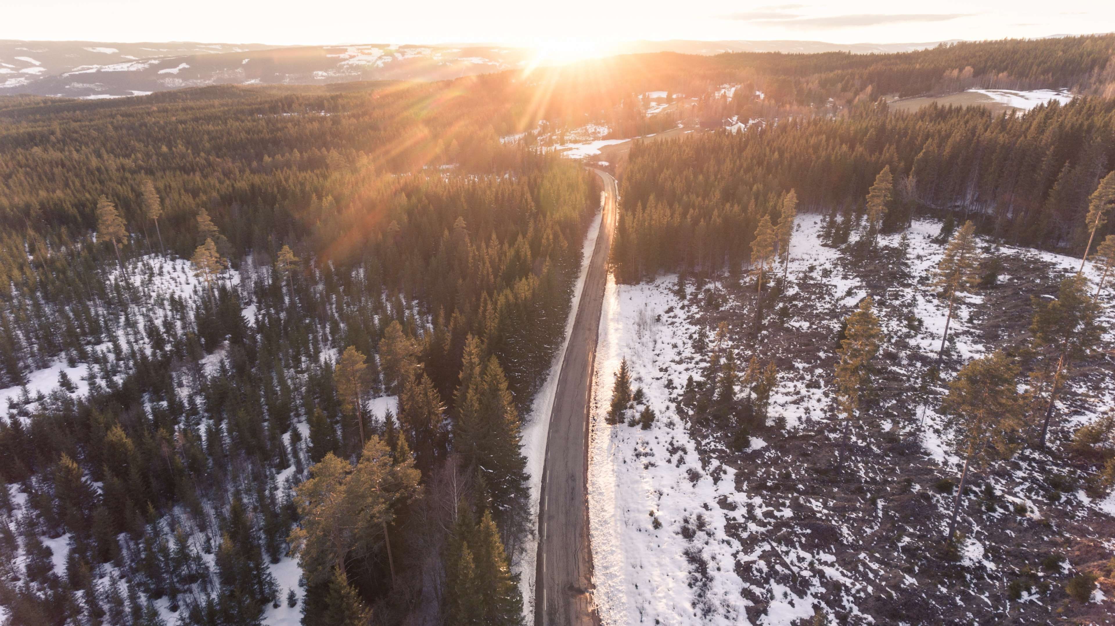 fir trees, environment, scenery, winter, non-urban scene, sun, tranquil scene, season, day, dawn, beauty in nature, scenic, sunbeam, outdoors, road, tranquility, HD Wallpaper