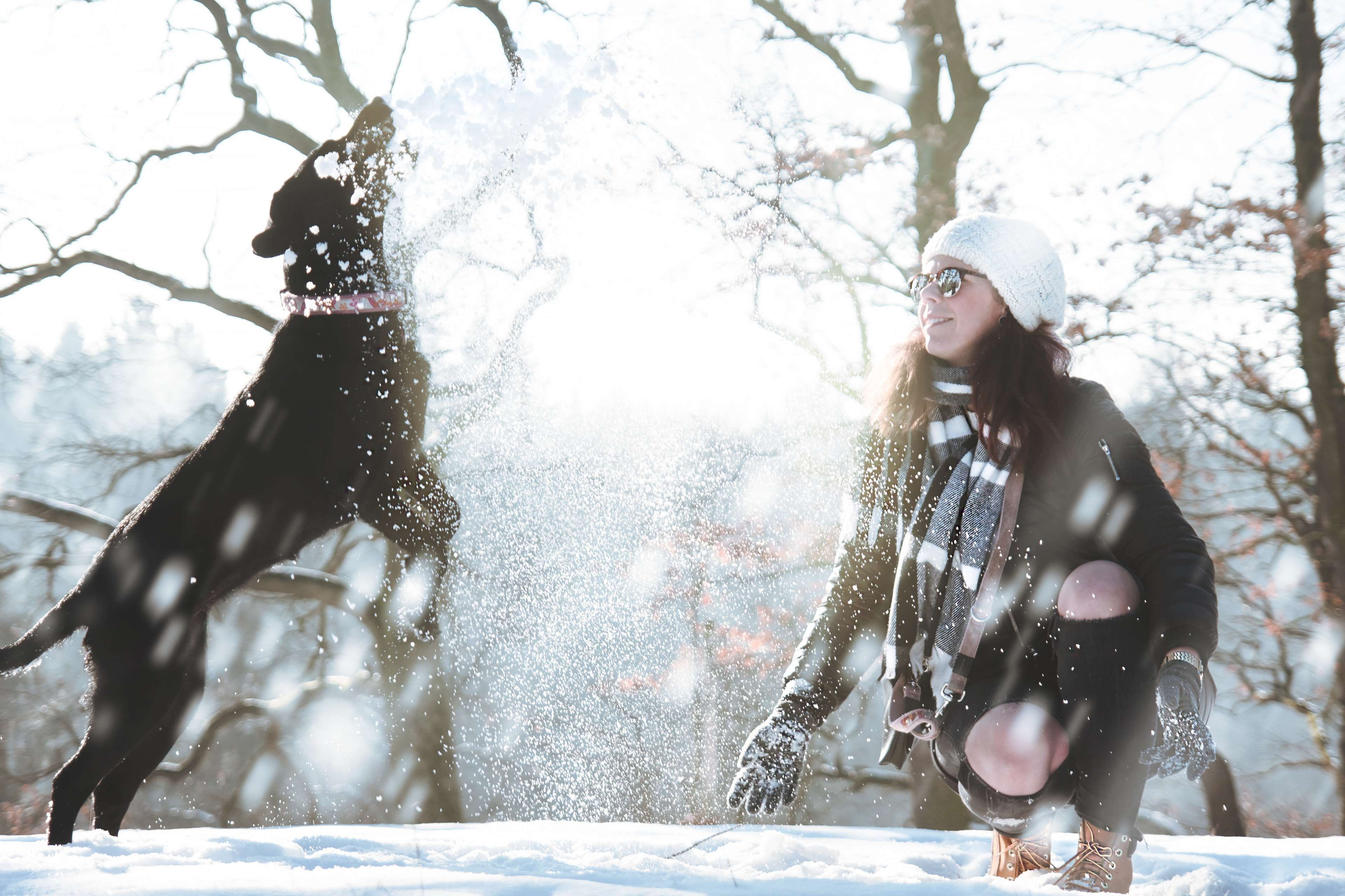 snowing, lifestyles, fun, cold temperature, daylight, zing, play, light, dog, real people, joy, enjoyment, young women, nature, frosty, female, clothing, HD Wallpaper