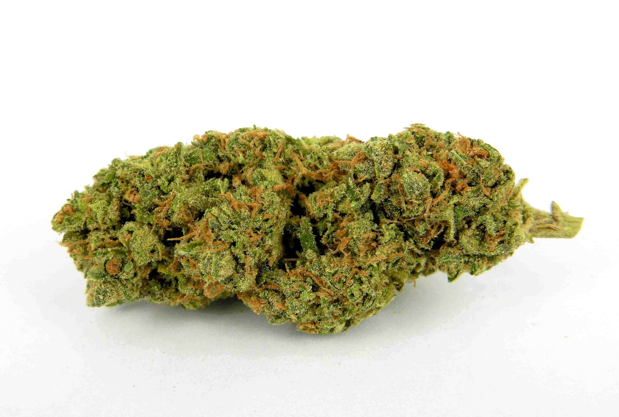 plant, marijuana - herbal cannabis, medicine, medical cannabis, cut out, close-up, marijuana pictures, still life, food and drink, indoors, healthcare and medicine, HD Wallpaper