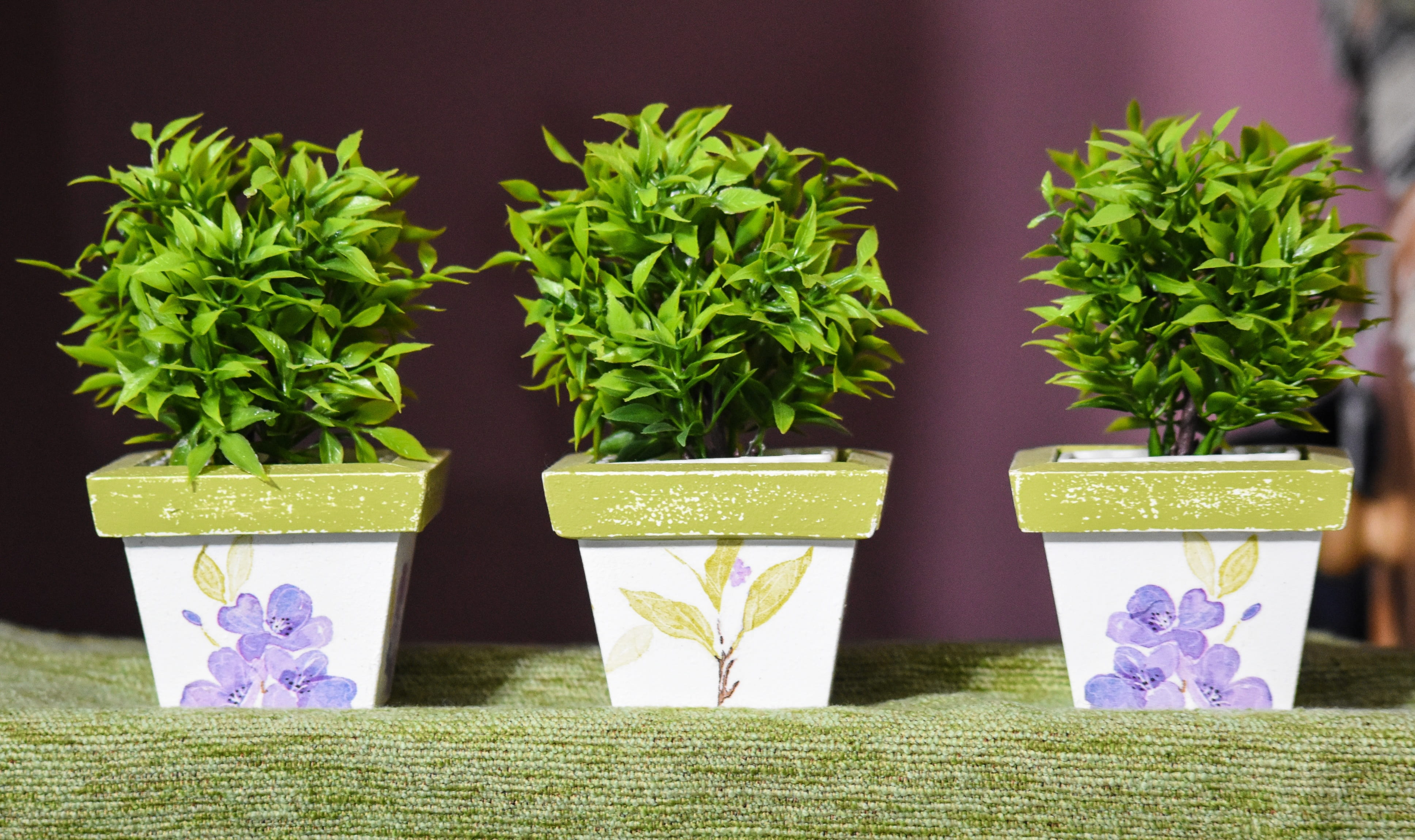 potted plant, nature, pots, flower pot, food and drink, inside, side by side, herbal medicine, group of objects, plant, green color, healthcare and medicine, HD Wallpaper