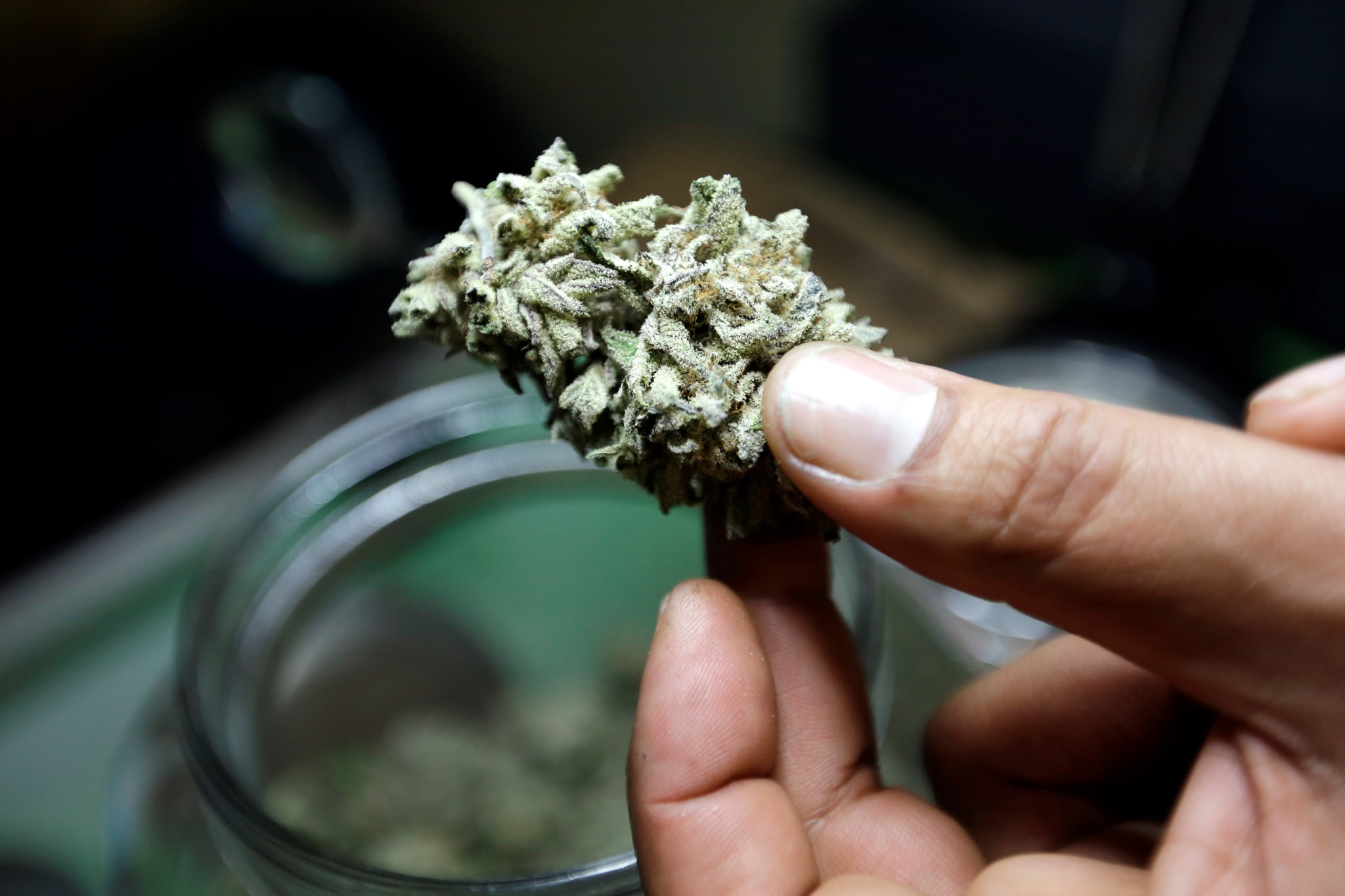 human finger, selective focus, marijuana - herbal cannabis, body part, narcotic, close-up, finger, human hand, one person, holding, plant, unrecognizable person, HD Wallpaper