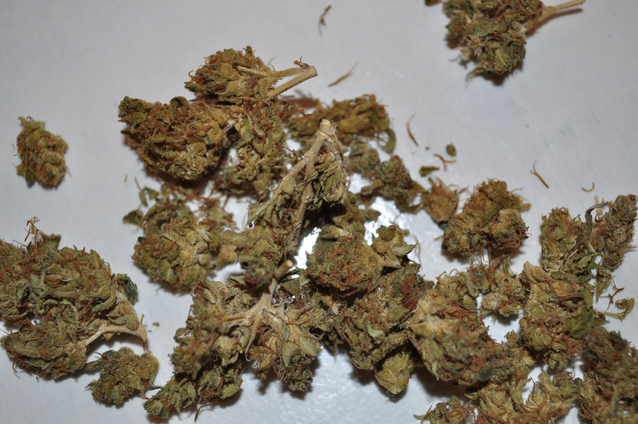 social issues, food, nature, plant, growth, marijuana pretty picture background, plant part, 1080P, marijuana - herbal cannabis, beauty in nature, water, HD Wallpaper