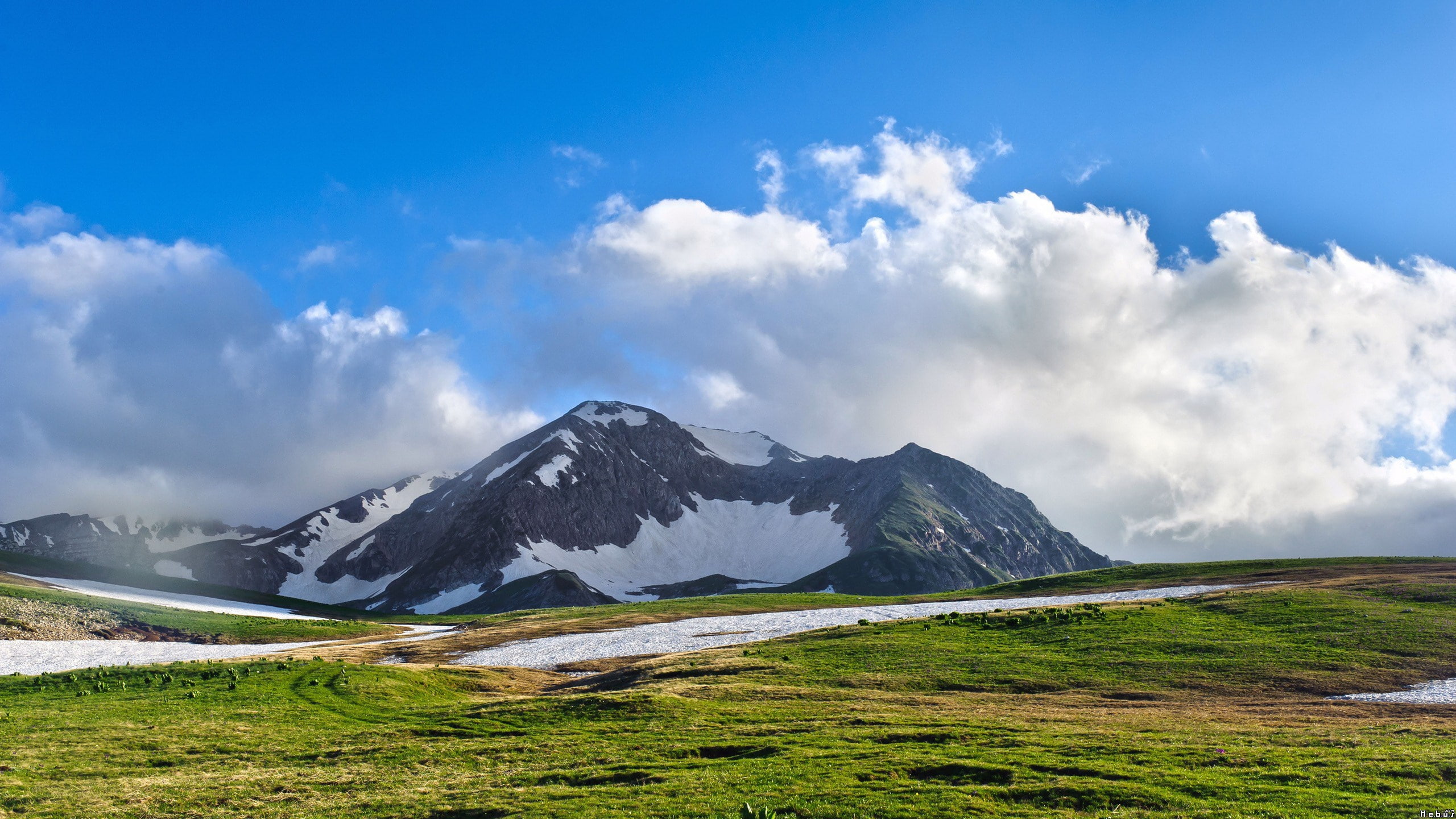 2K, coolest pictures ever of nature 2560x1440, HD Wallpaper