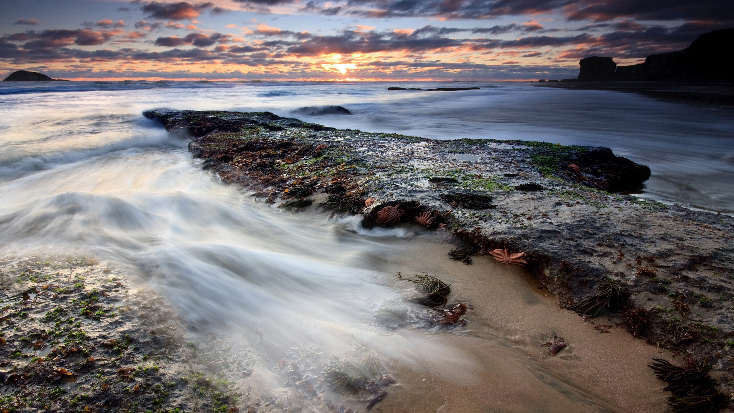 2K, coolest pictures ever of nature 2560x1440, HD Wallpaper