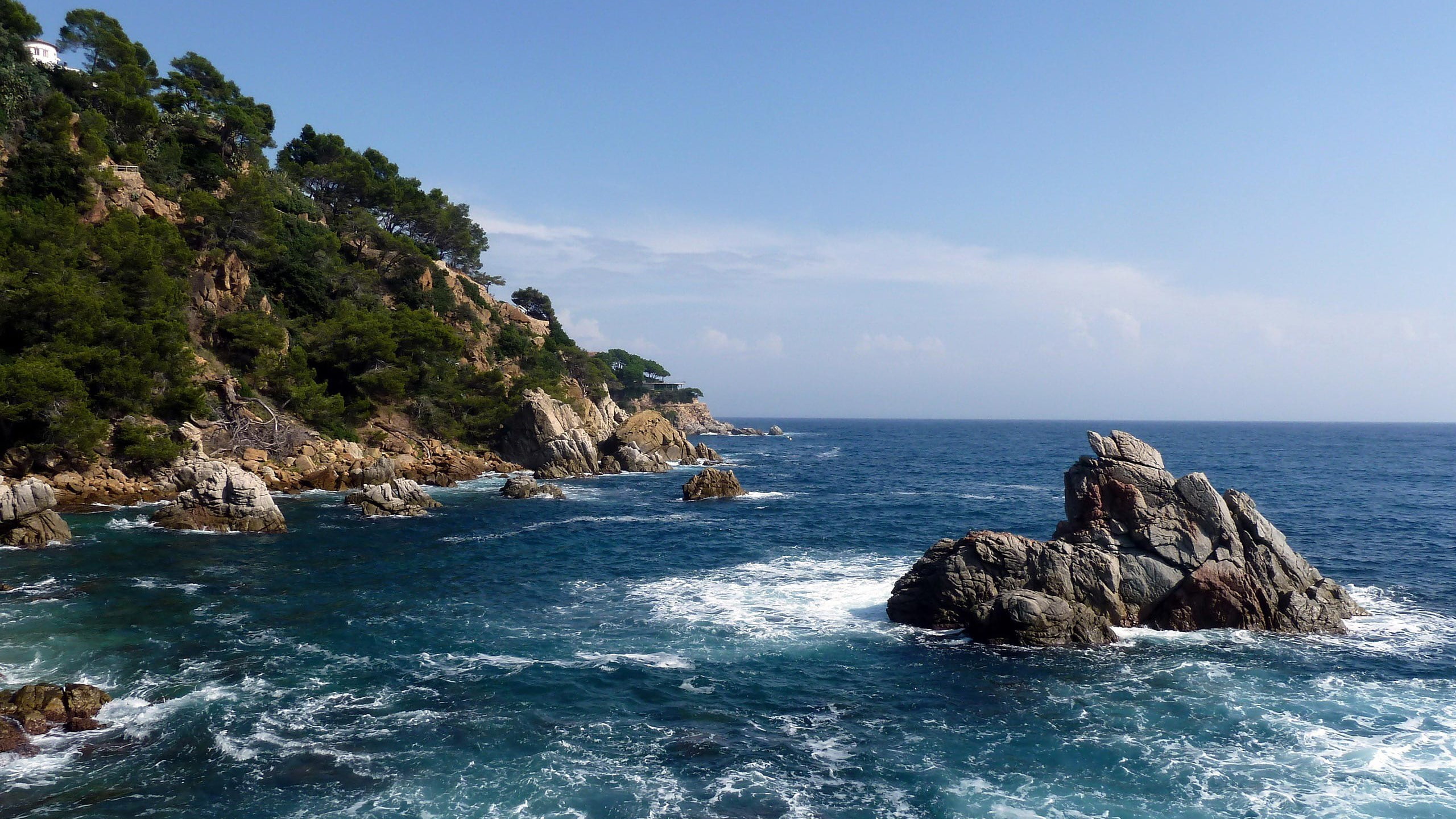 2K, coolest pictures ever of nature 2560x1440, HD Wallpaper