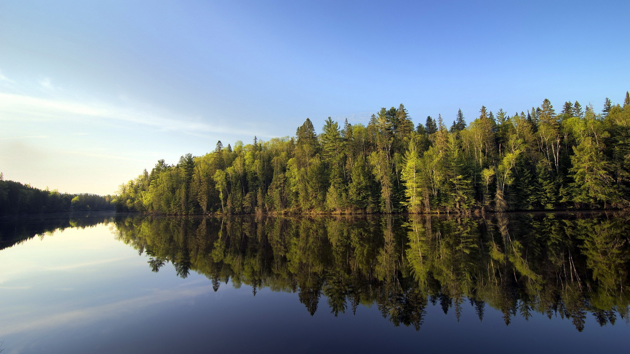 non-urban scene, sky, no people, tree, growth, 2K, nature, coolest pictures ever of nature 2560x1440, water, plant, green color, waterfront, tranquil scene, HD Wallpaper
