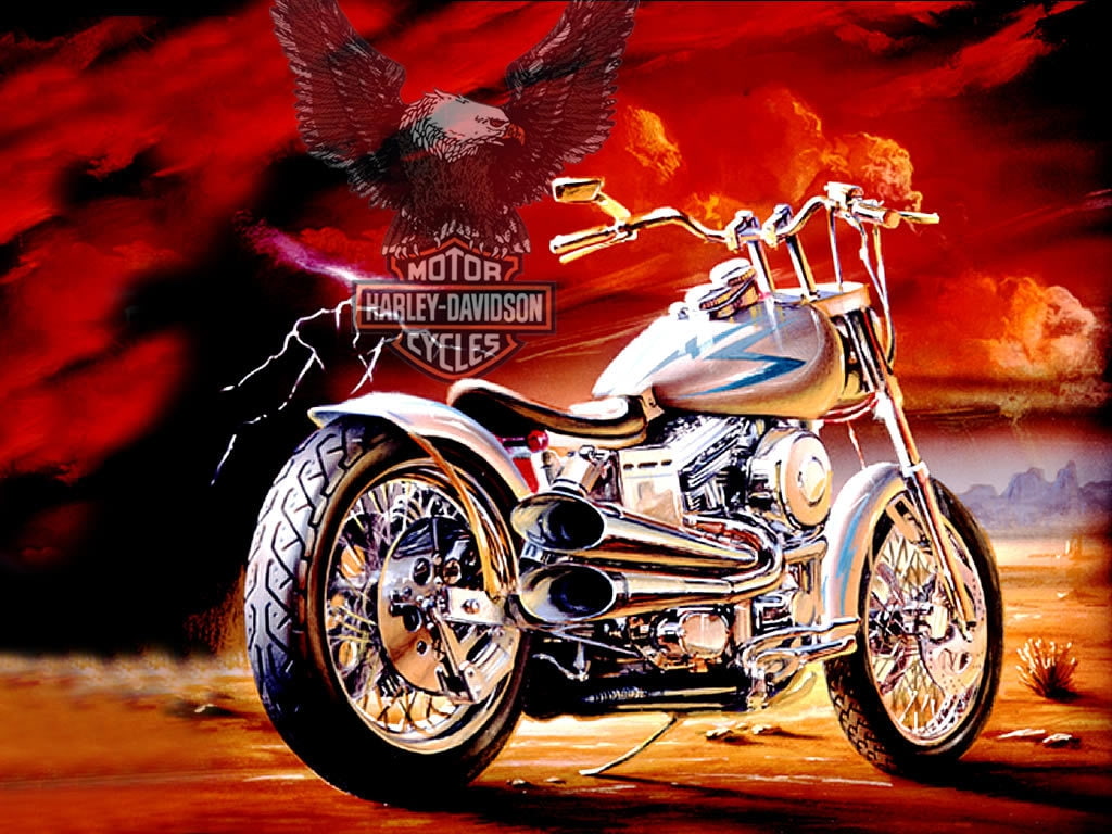 motorcycles, walls, bike, harley, art, x, 480P, style, anyone, davidson, hd, HD Wallpaper