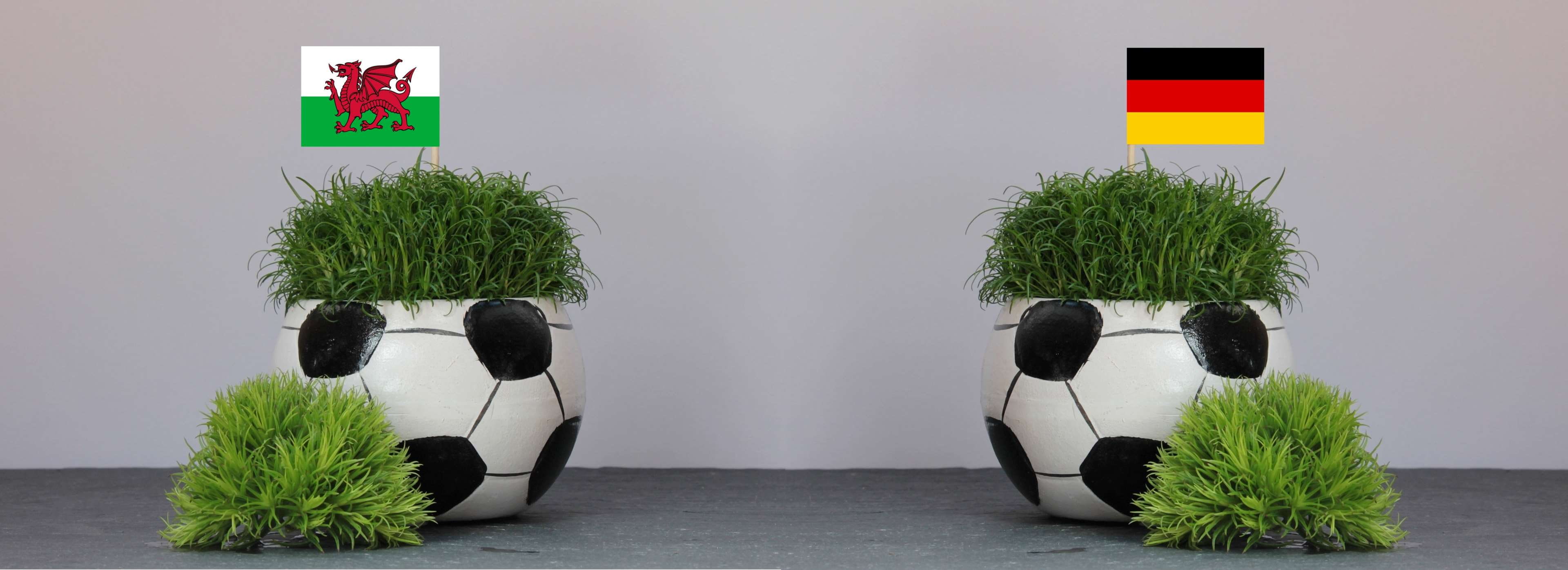 flag, germany flag, plant part, grass, herb, sport, outdoors, european championship, panoramic, symbol, red, studio shot, flower pot, architecture, nature, HD Wallpaper