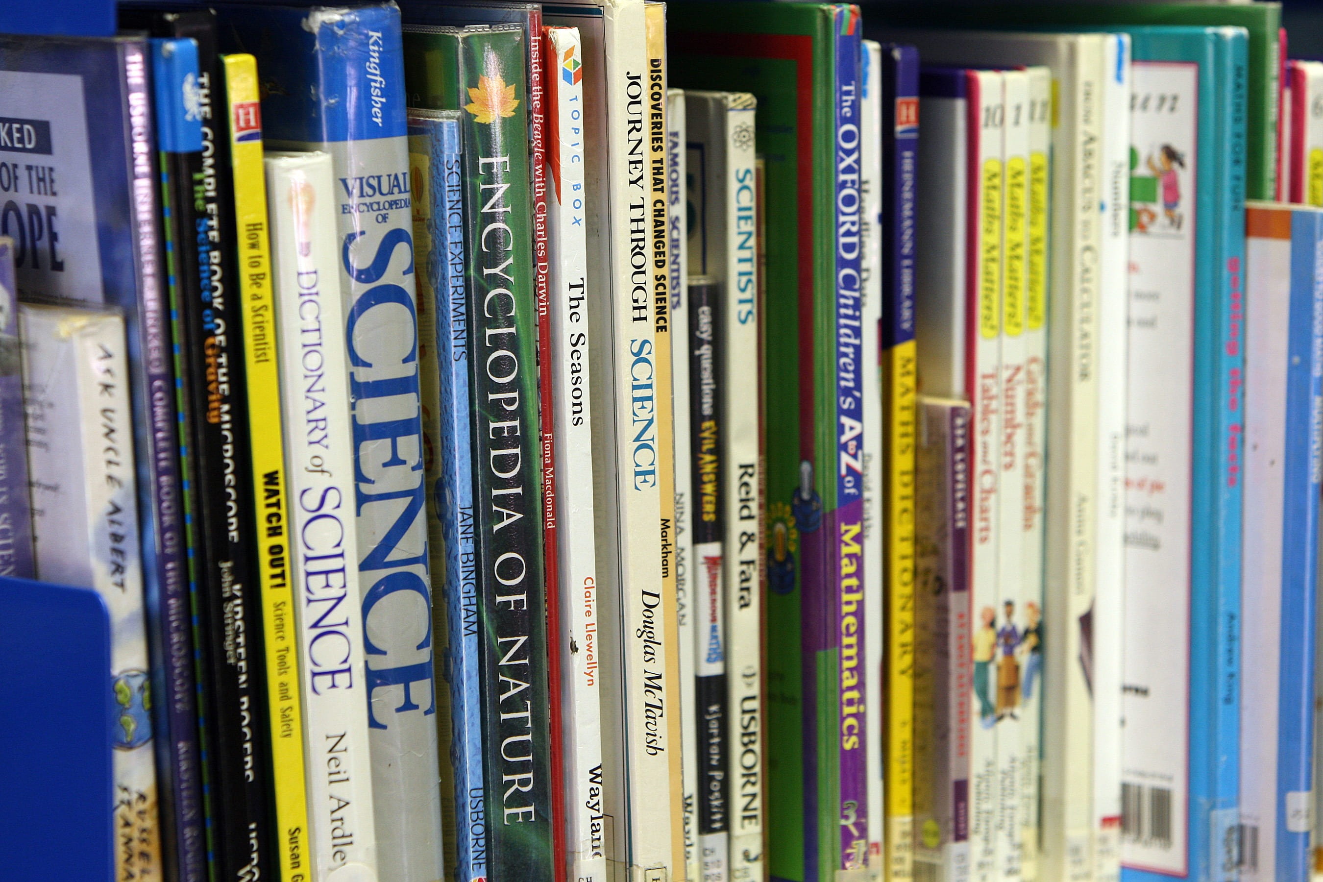 shelf, choice, information, still life, number, variation, educational, shelves, publication, arranged, organized, book, communication, arrangement, sets, HD Wallpaper
