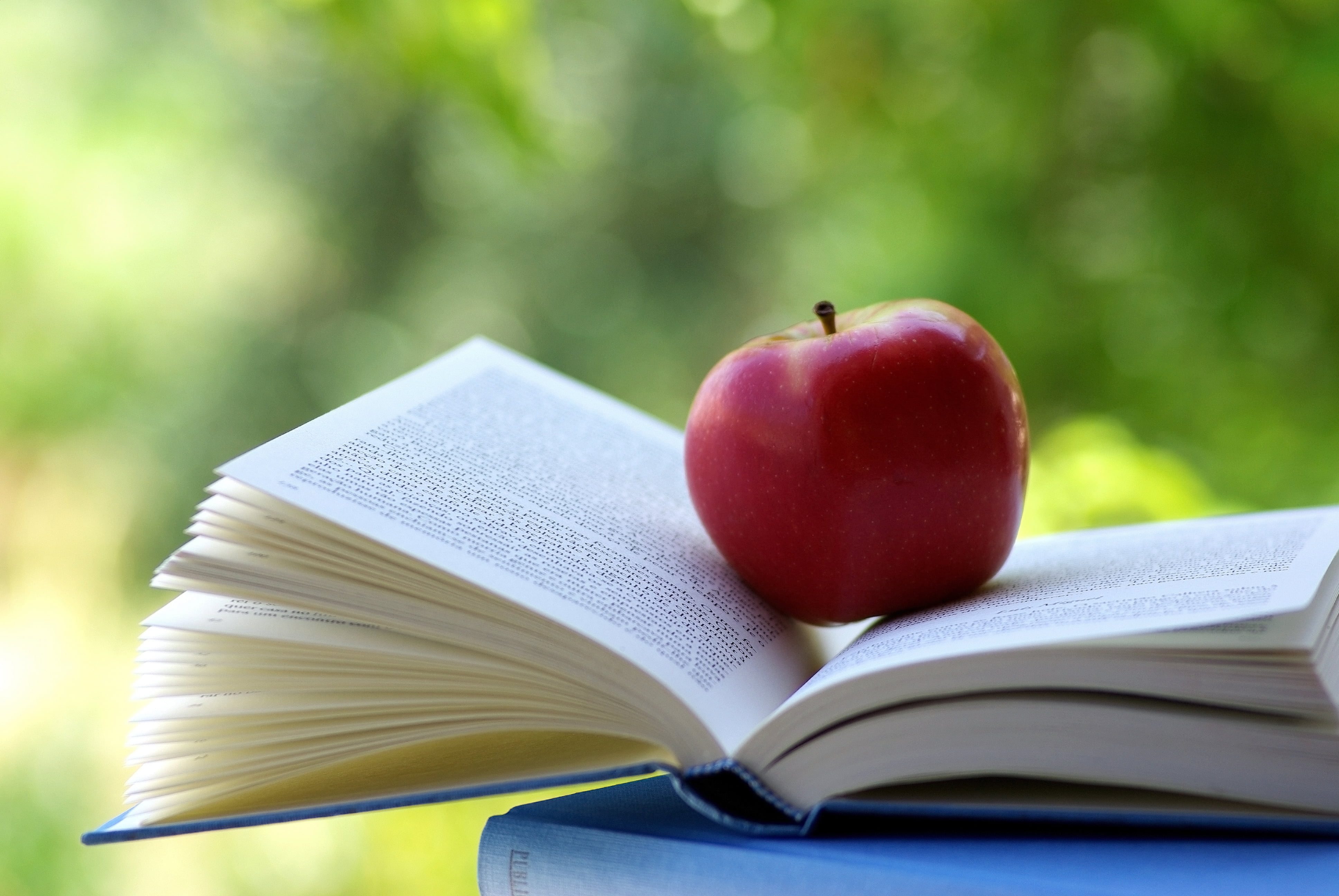 studying, hardcover Book, apple, stack, literature, textbook, focus on foreground, wisdom, still life, education, learning, red, close-up, malus, data, HD Wallpaper