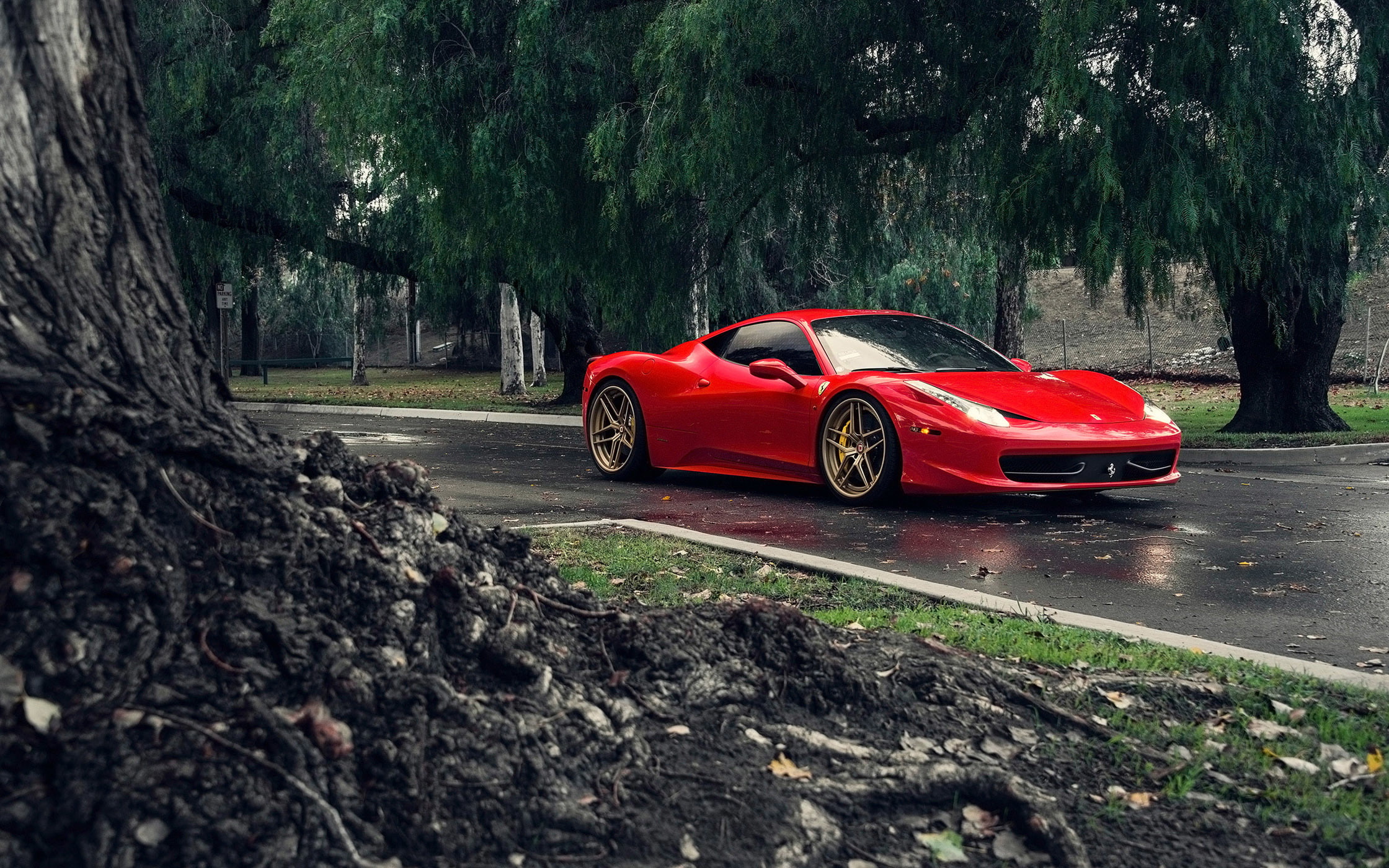 tree, travel, growth, Red, Supercars, Class iD, mode of transportation, elegance, sports Car, Front, sport, luxury, modern, speed, engine, city, 458, sports, HD Wallpaper