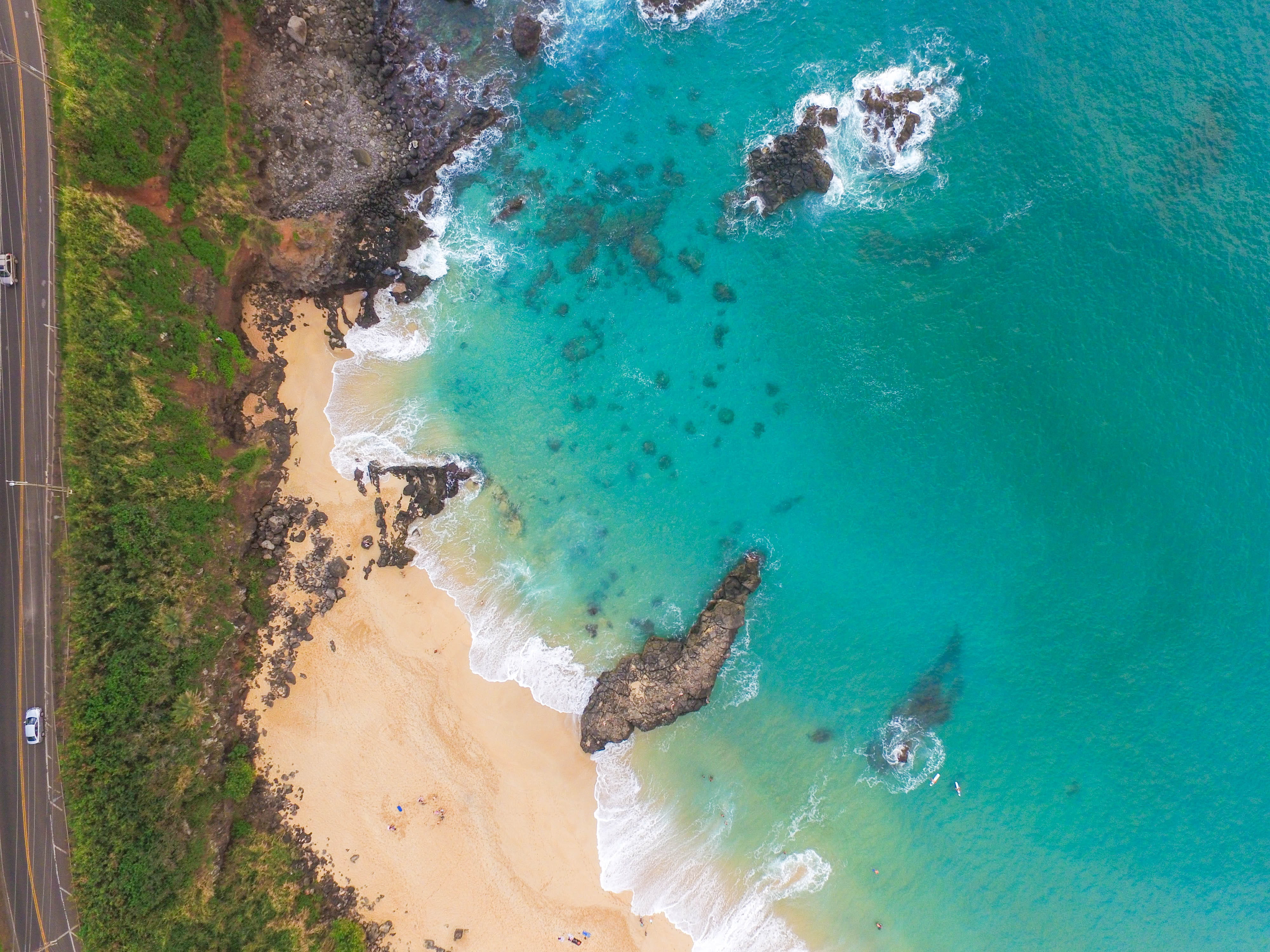 turquoise colored, plant, idyllic, beach, waimea bay, ocean, sand, tree, 4K, non-urban scene, sea, trees, photography, high angle view, beauty in nature, HD Wallpaper