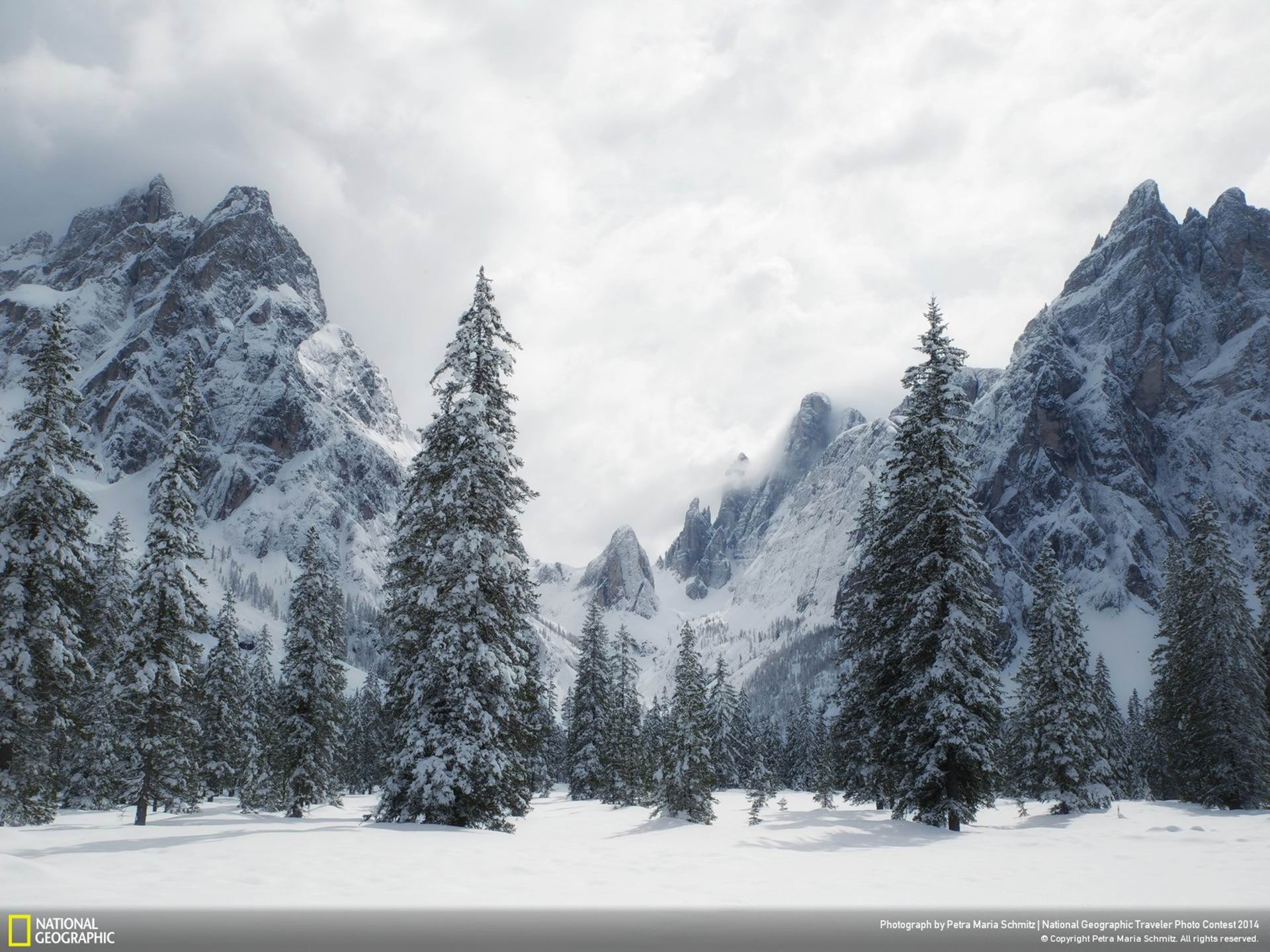 winter, 1080P, national, trees, scenics - nature, beauty in nature, snowcapped mountain, sky, cloud - sky, nature, pine tree, snow, non-urban scene, HD Wallpaper