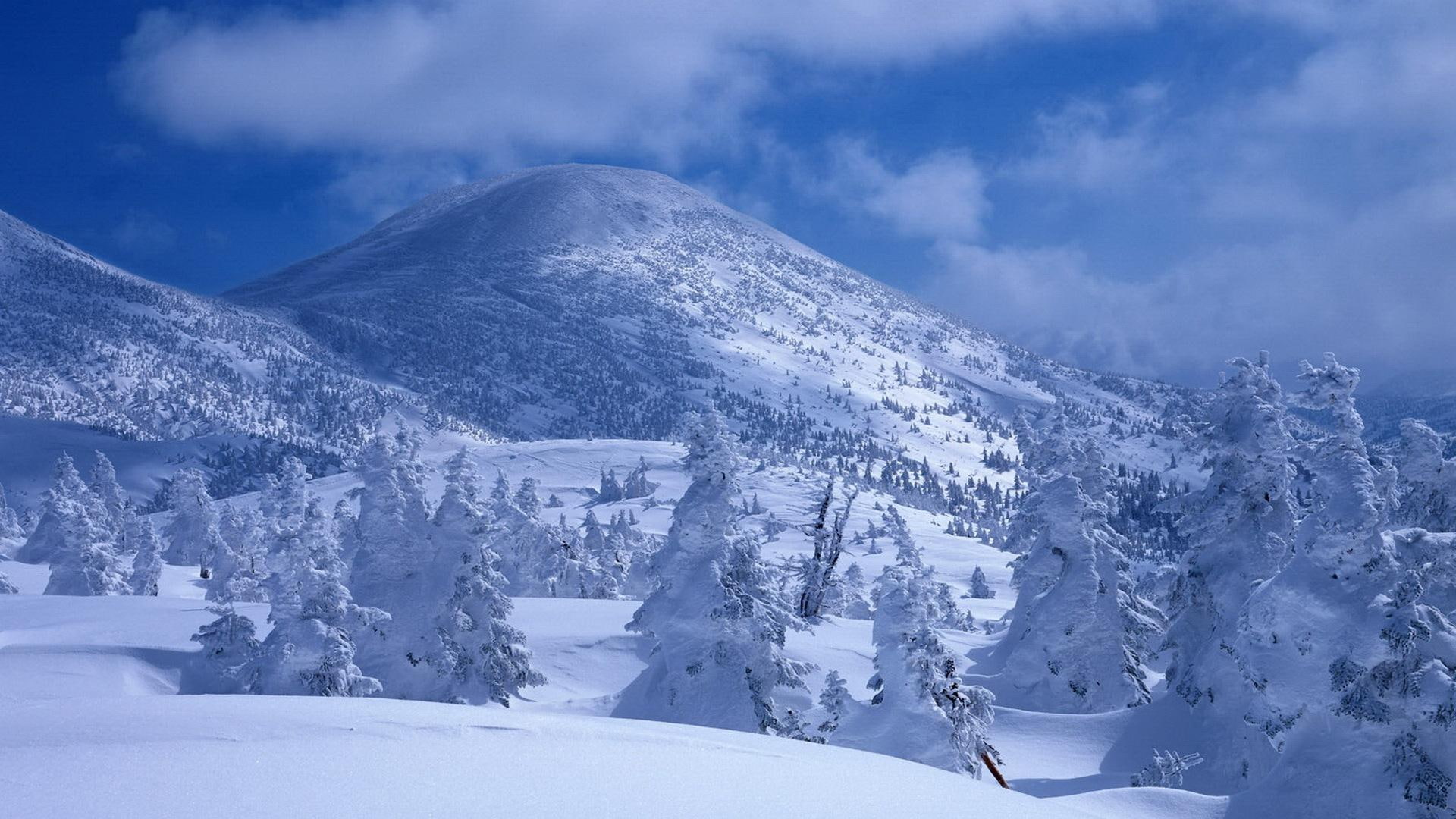 everything, trees, snow, clouds, winter, 3d and abstract, mountain, 1080P, HD Wallpaper