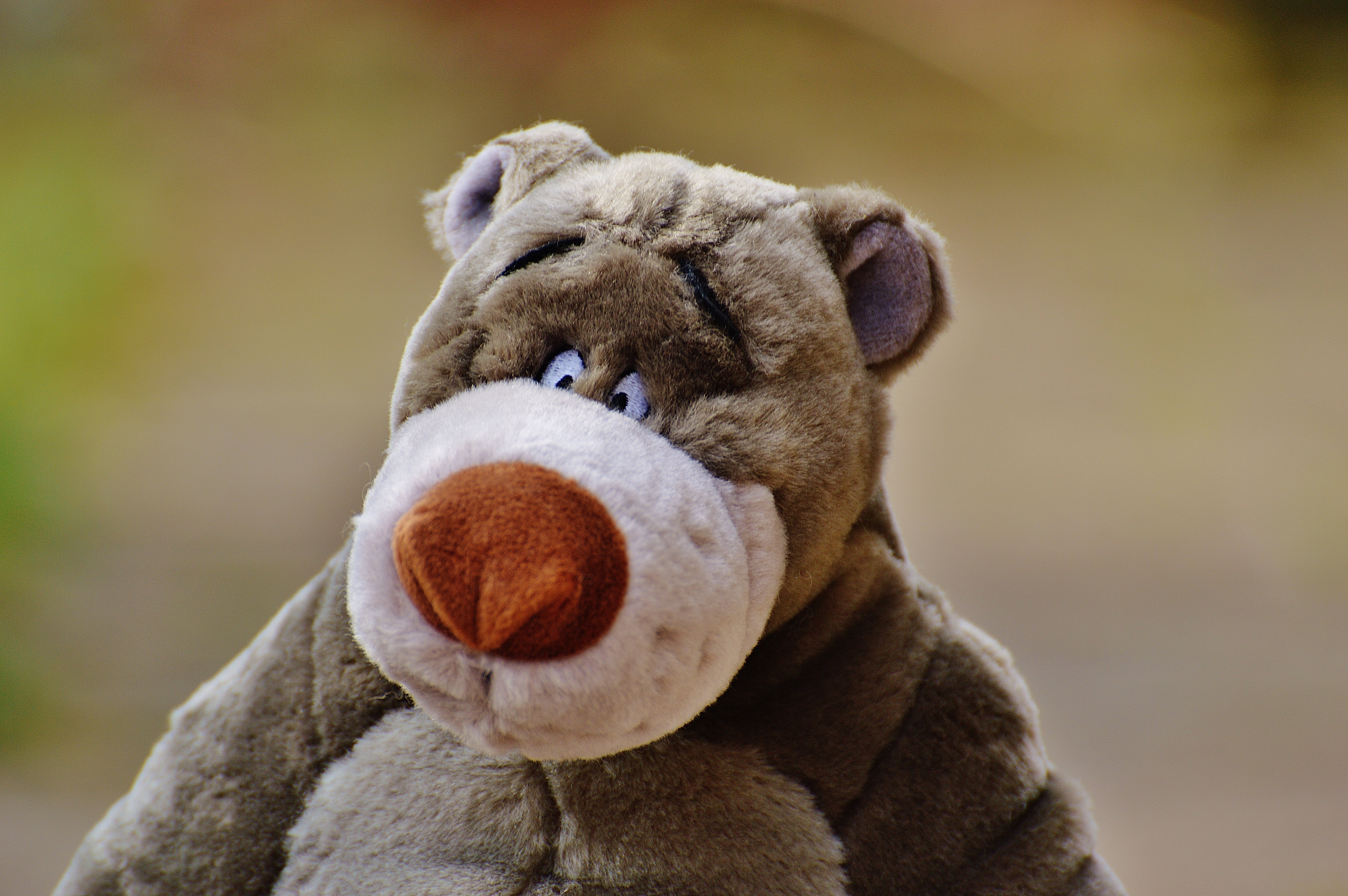 children, cute, no people, brown, animal nose, sweet, play, animal themes, domestic, soft toy, indoors, 5K, toy, cuddly, plush, animal mouth, pets, stuffed animal, HD Wallpaper
