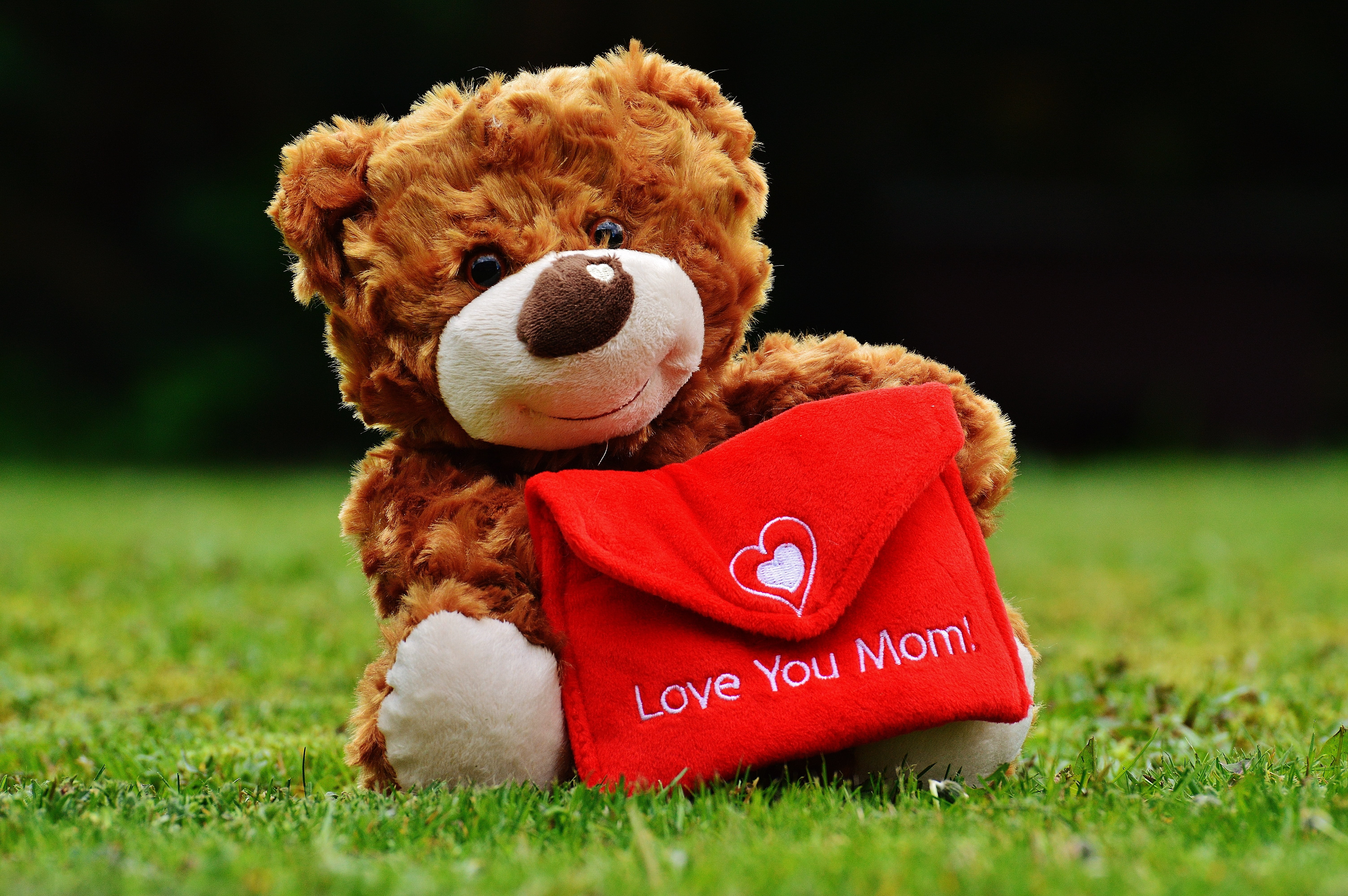 about love for mothers day, teddy bear, gratitude, green color, softness, innocence, teddy, 5K, cute, emotion, close-up, stuffed animal, luck, greeting card, HD Wallpaper