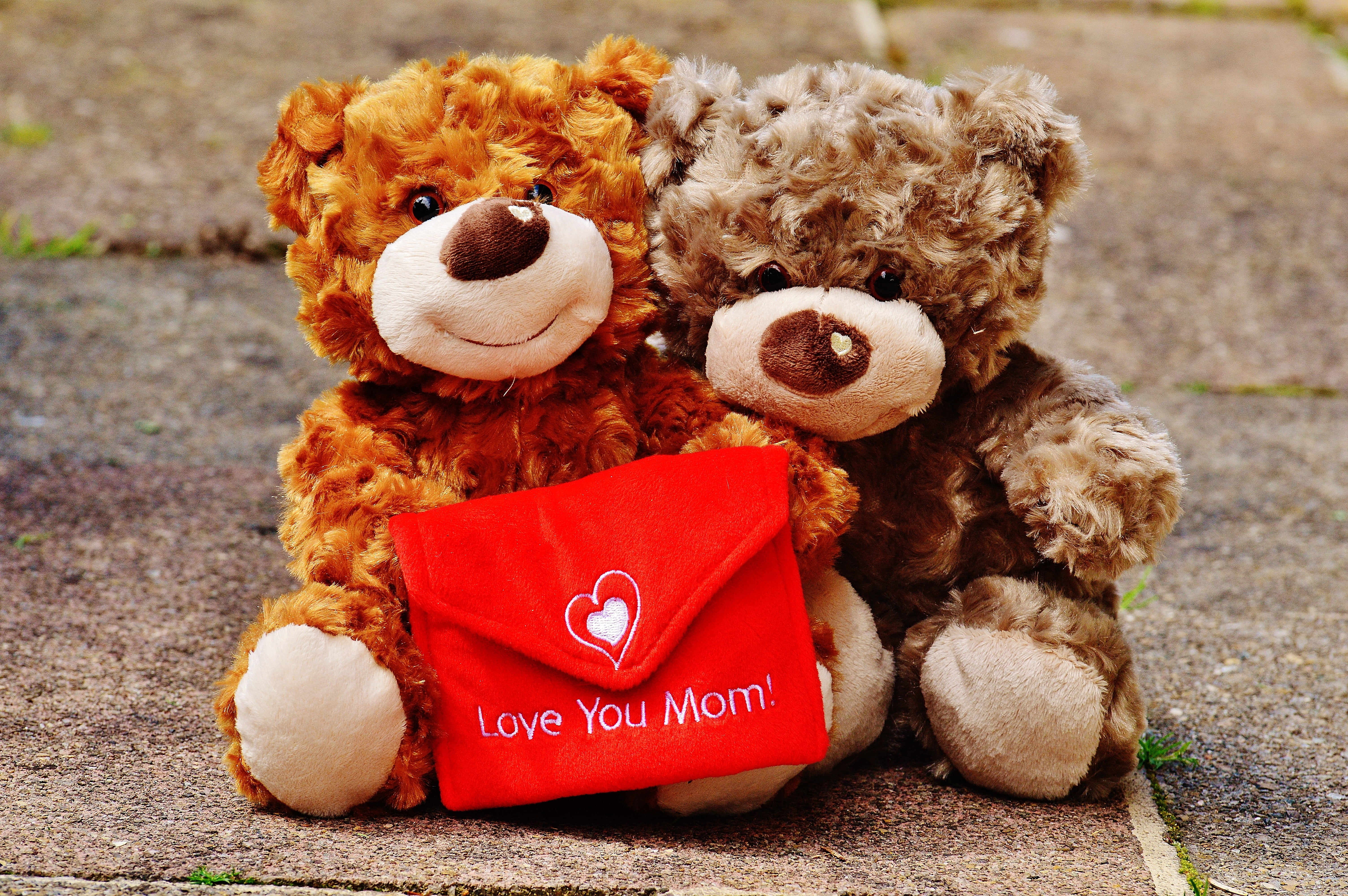 love, gratitude, animal, about love for mothers day, still life, mothers day, emotion, focus on foreground, mother, stuffed toy, greetings, toy, toys, teddy, HD Wallpaper