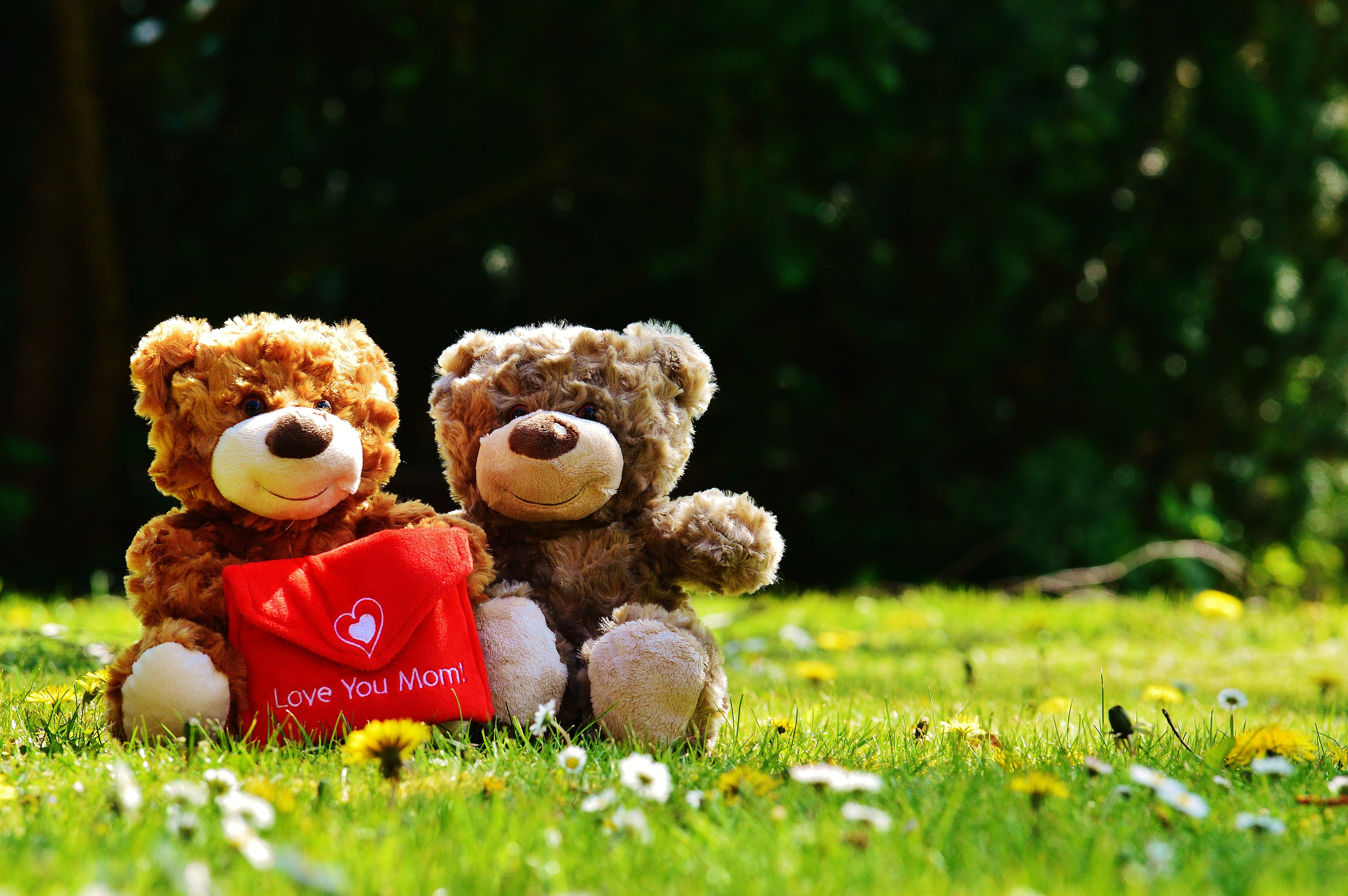 mother, green, green color, greeting, nature, plush, luck, representation, toy, plant, bear, no people, toys, brown, 5K, background, mama, day, two, doll, HD Wallpaper