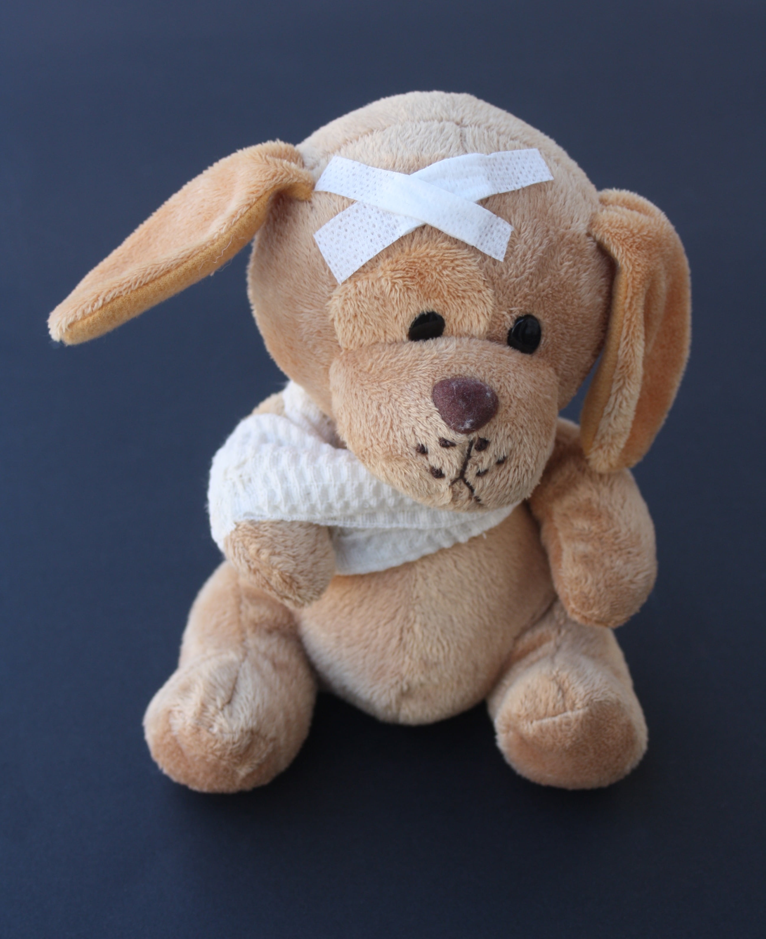 indoors, knuffig, stuffed animal, cute, black background, broken, fluffy, bandage, representation, teddy Bear, puppy, childhood, stuffed toy, bear, cut out, Phone HD Wallpaper