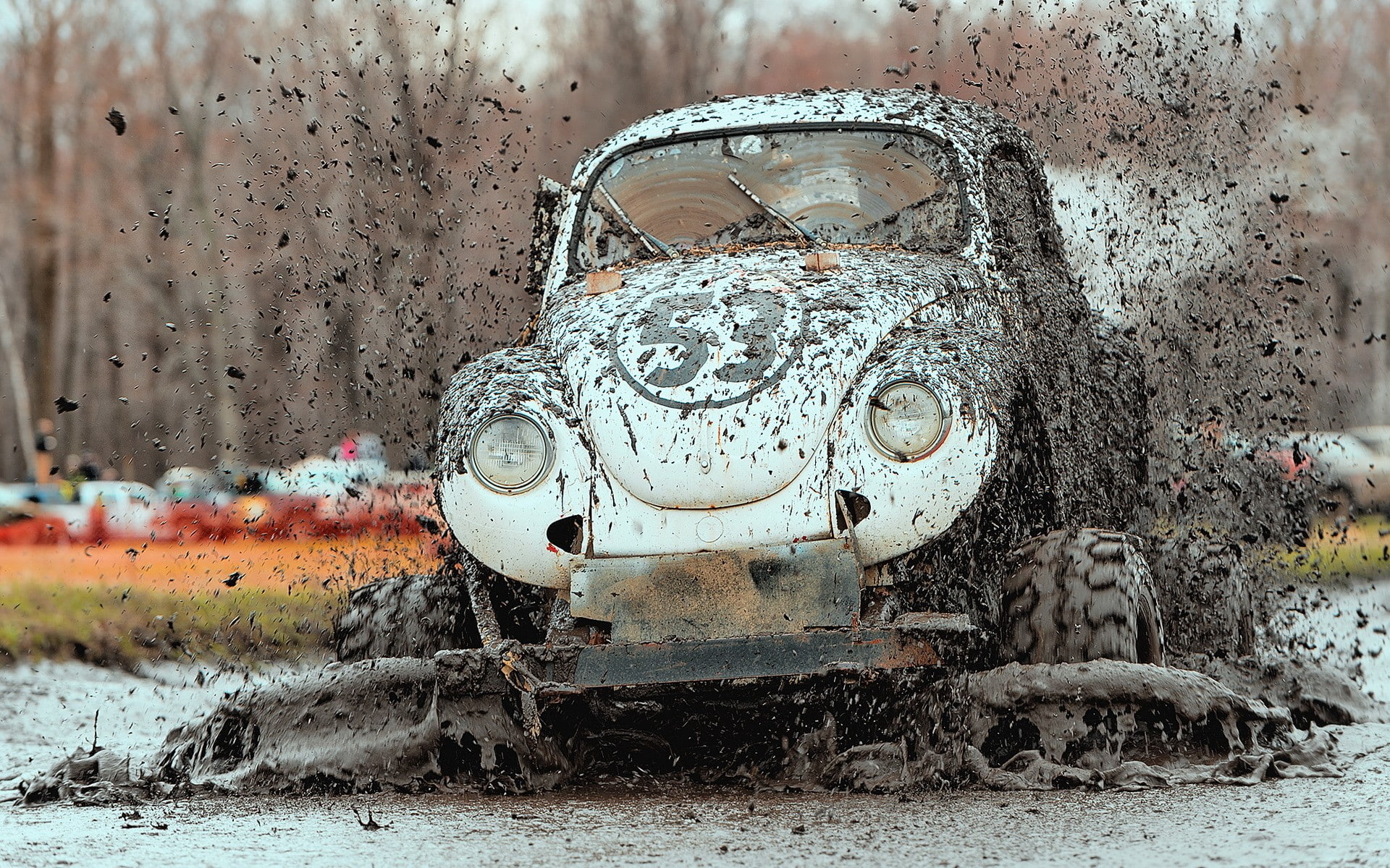 art and craft, creativity, nature, car, old, mud, day, splashing, close-up, graffiti, animal representation, transportation, metal, outdoors, water, animal, HD Wallpaper