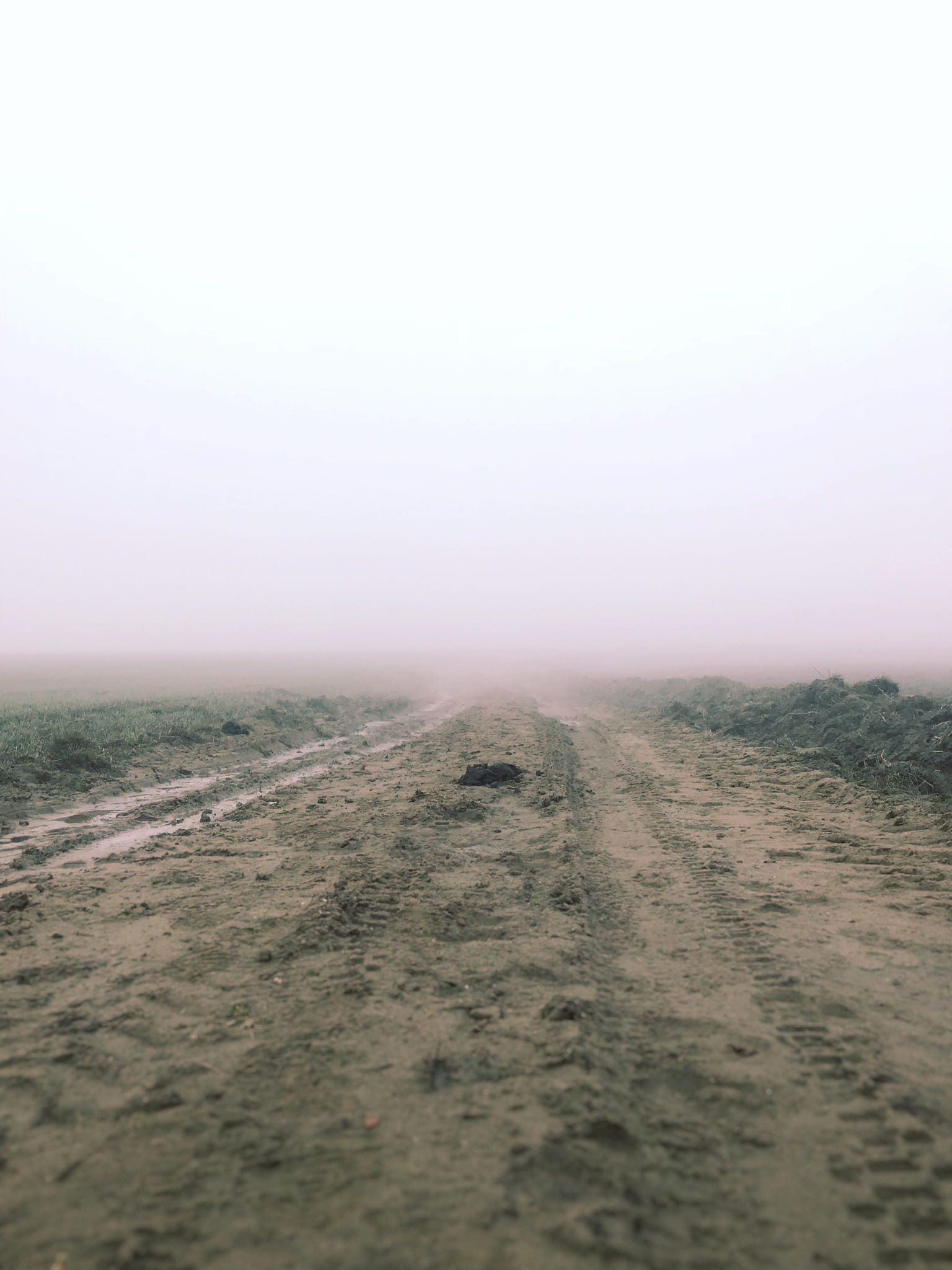 environment, mud, the way forward, non-urban scene, foggy, sand, scenics - nature, fog, ground, road, surface level, 1080P, arid climate, nature, dirt road, Phone HD Wallpaper