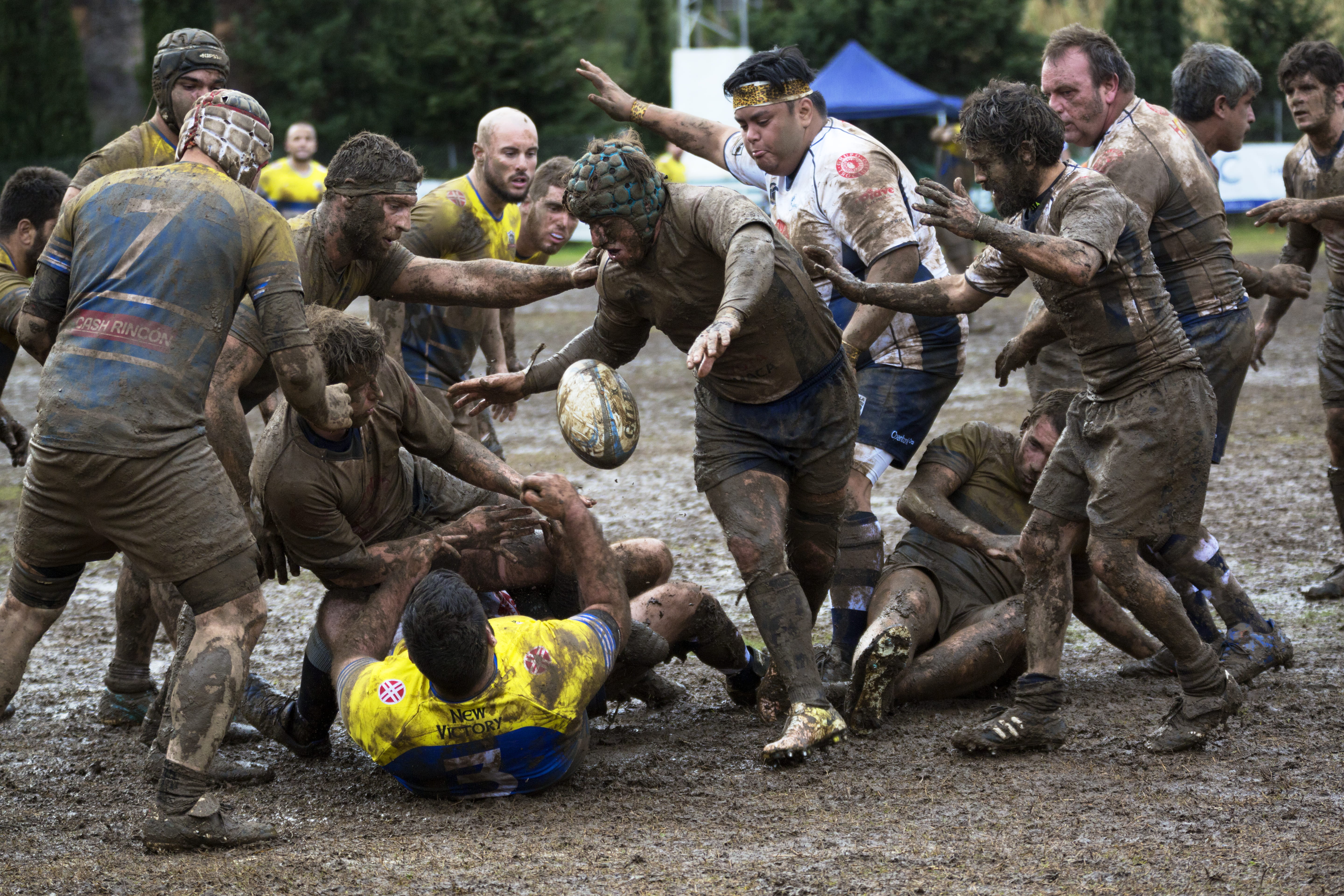 crowd, people, animals in the wild, playing, group, mud, sport, mammal, working, fight, rugby, daytime, match, adult, outdoors, game, field, 5K, day, ape, HD Wallpaper
