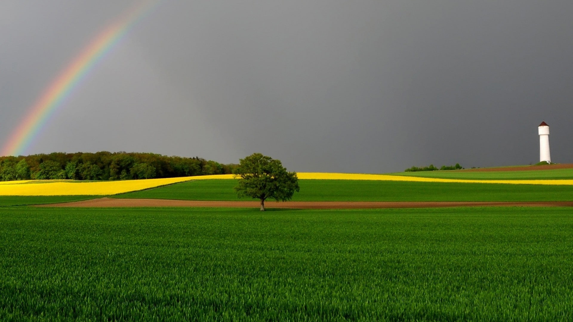 art, fields, x, Green, 1080P, nature, scenario, hd, HD Wallpaper