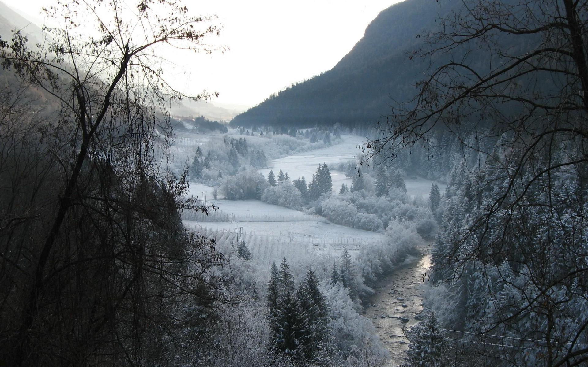 nature, amazing, scenario, water, winter, 1080P, forest, tree, 1920x1200, body, river, snow, mountain, HD Wallpaper