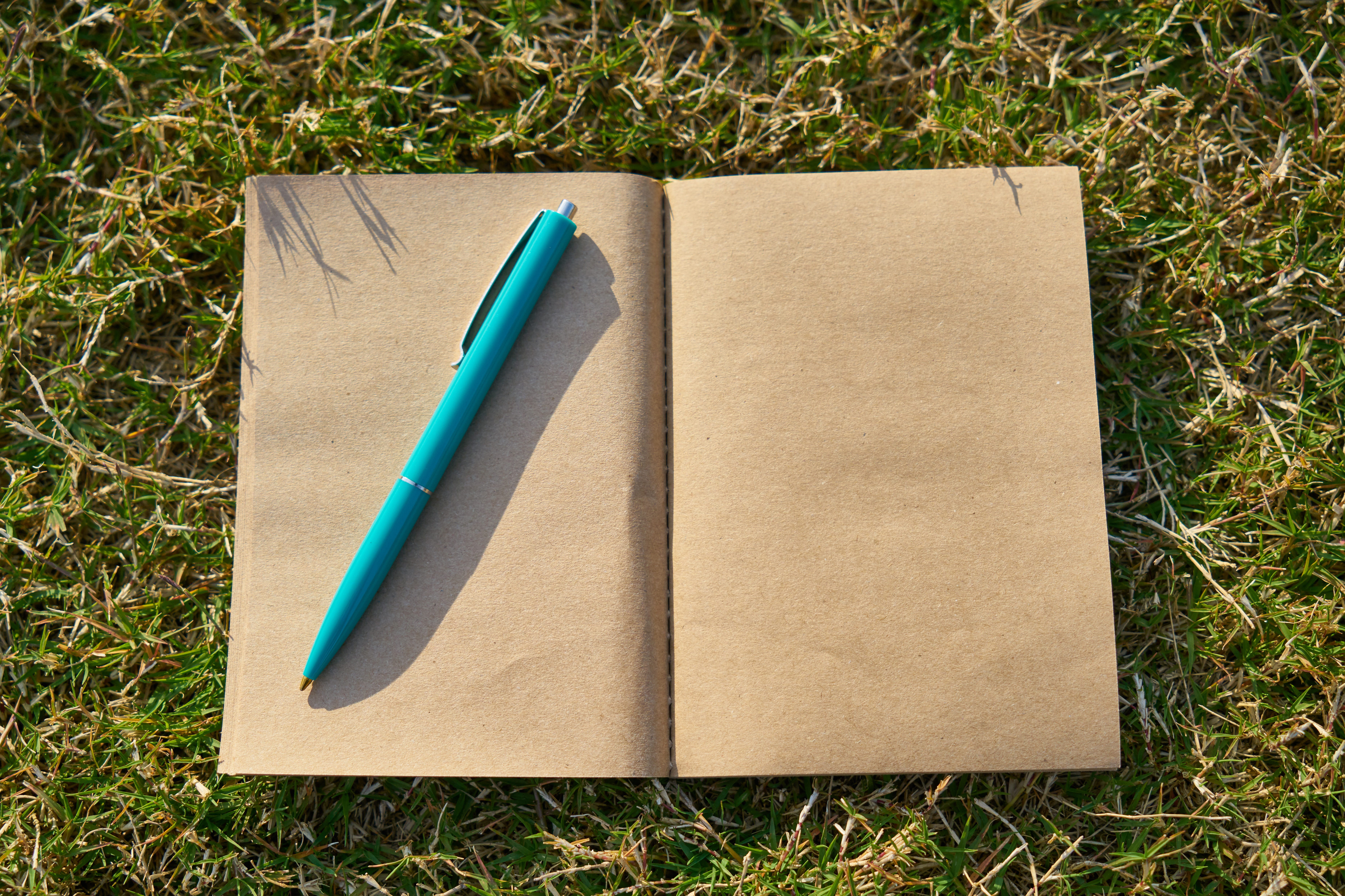 technology, grass, author, the work, land, is empty, contract, diary, scenario, book, opinions, high angle view, no people, still life, blank, close-up, HD Wallpaper