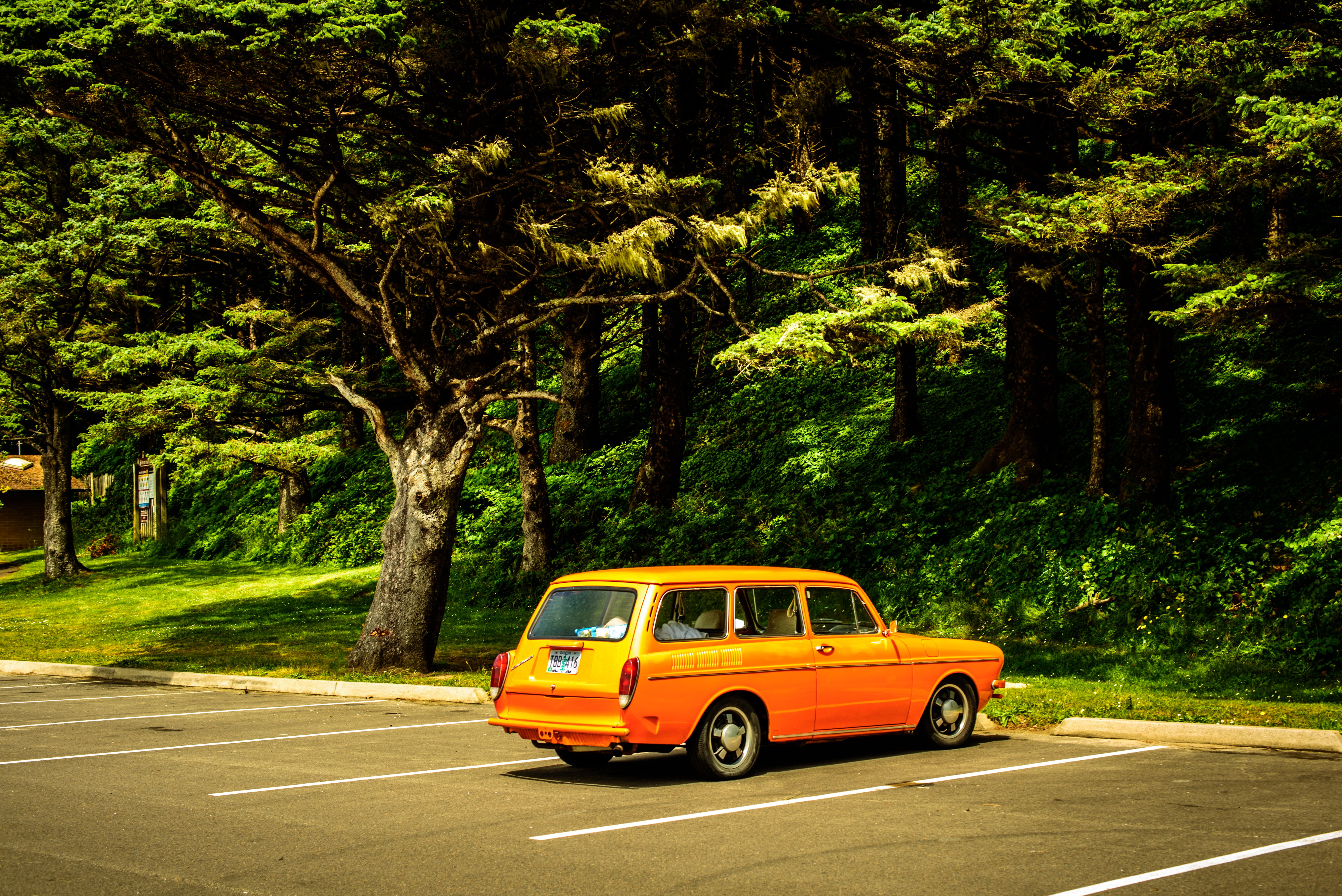 fast, nature, yellow taxi, asphalt, no people, yellow, pavement, street, road, 5K, bus, mode of transportation, city, automotive, car, vehicle, hurry, HD Wallpaper