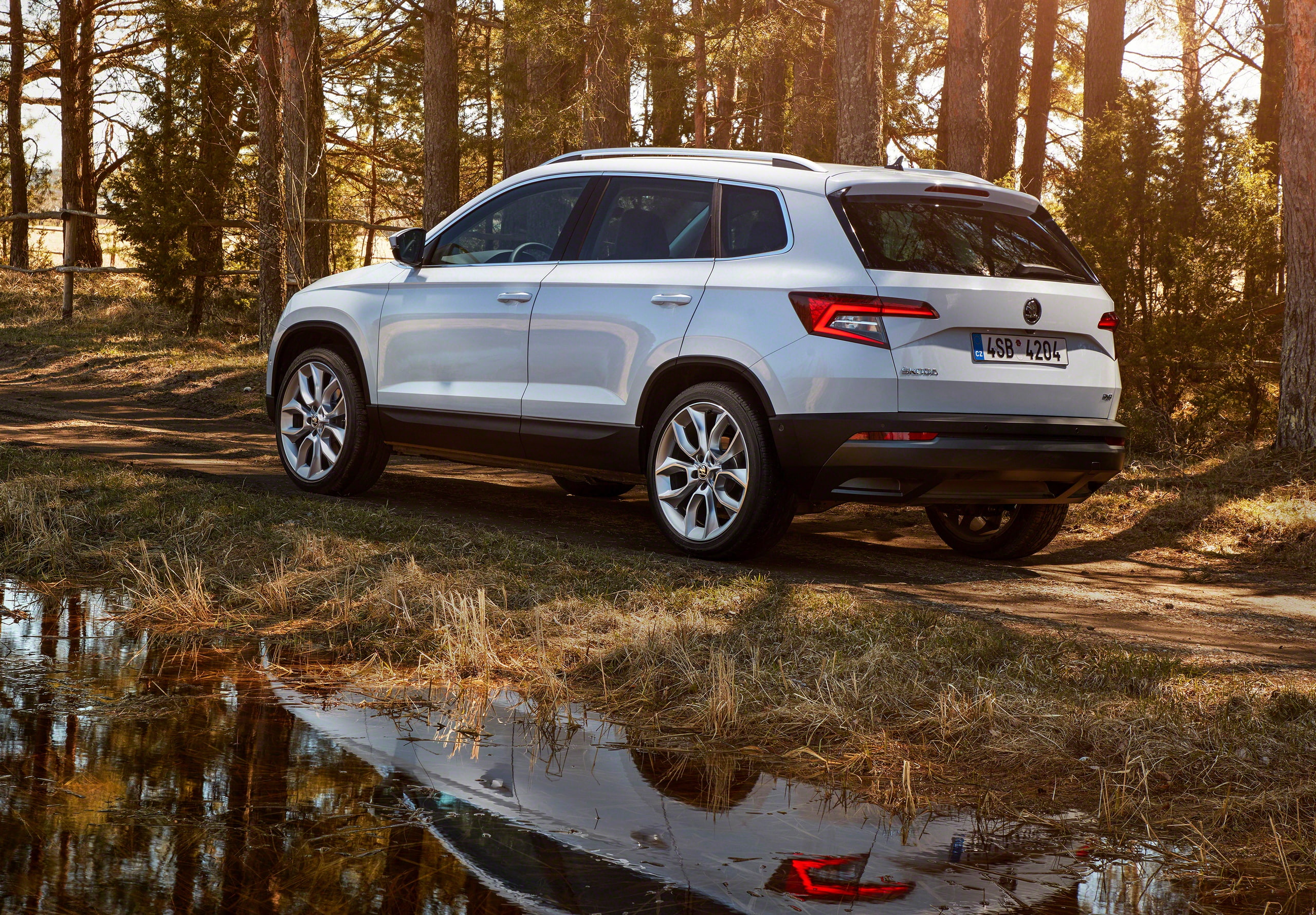 2017, road, crossover, puddle, 2K, vegetation, Skoda, Karoq, trees, white, HD Wallpaper