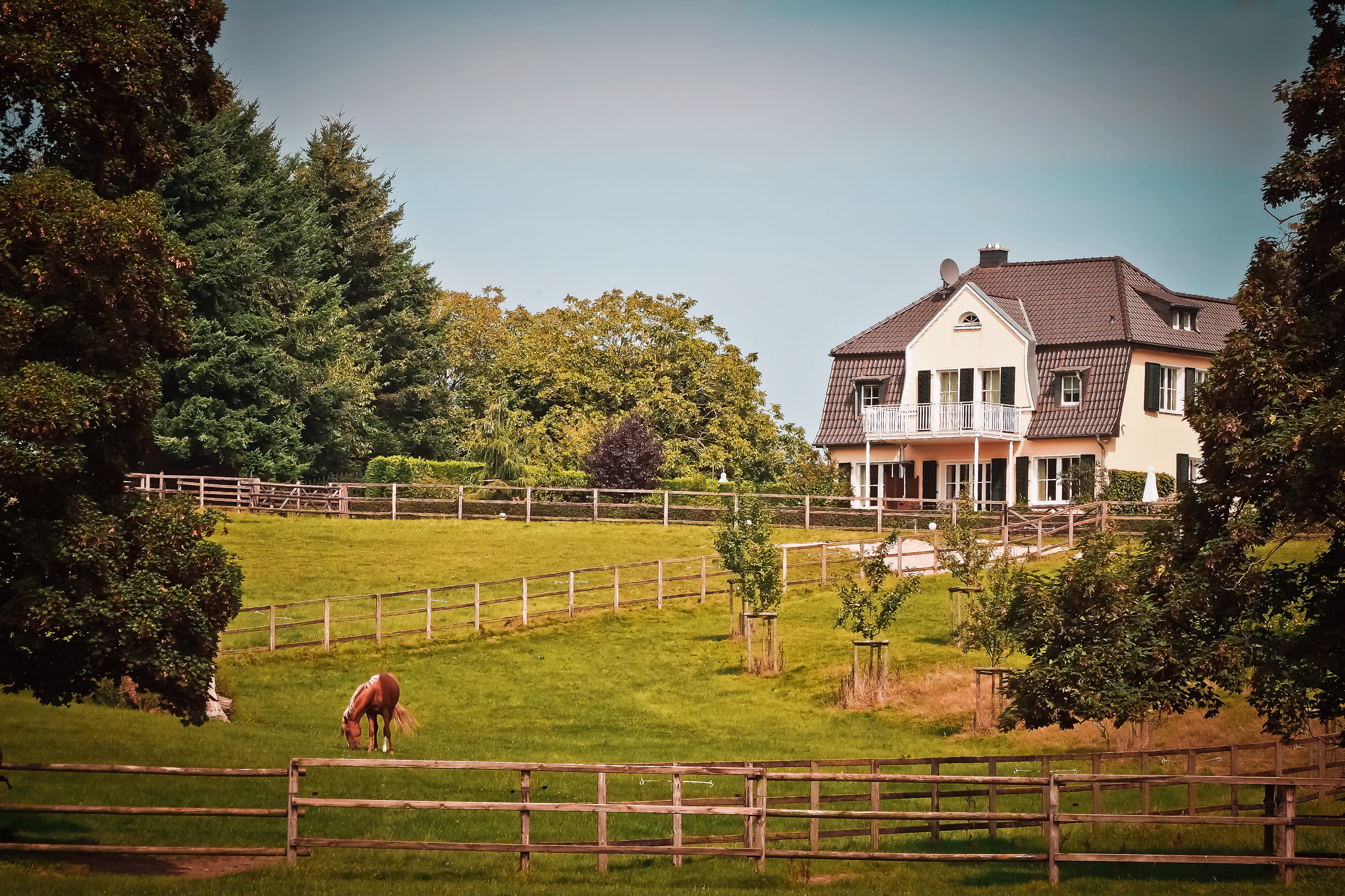 horses, horse, front, mammal, no people, building exterior, architecture, boundary, beautiful, ride, gate, live, fence, mansion, brown, house, outlook, HD Wallpaper
