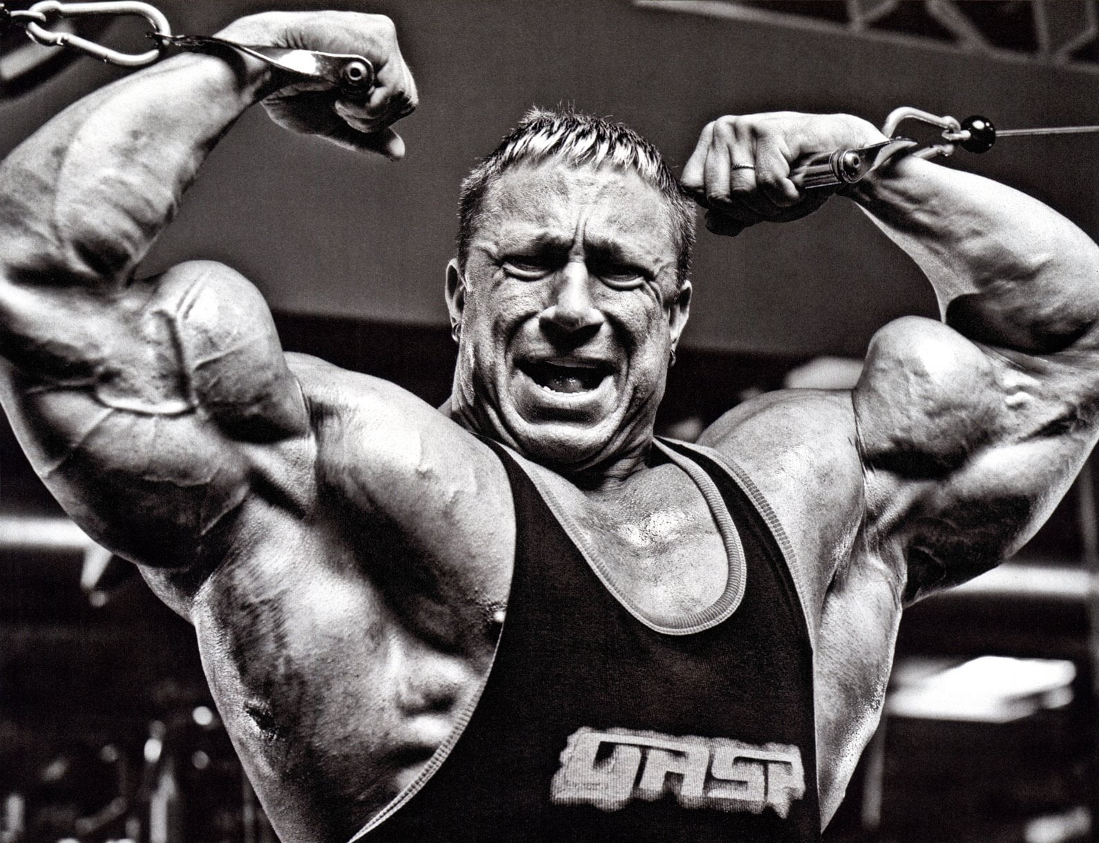 combat Sport, body Care, black, sportsman, metrosexual, top, bicep, black And White, gray, body Building, exercising, weight Training, rough, athlete, looking At Camera, HD Wallpaper