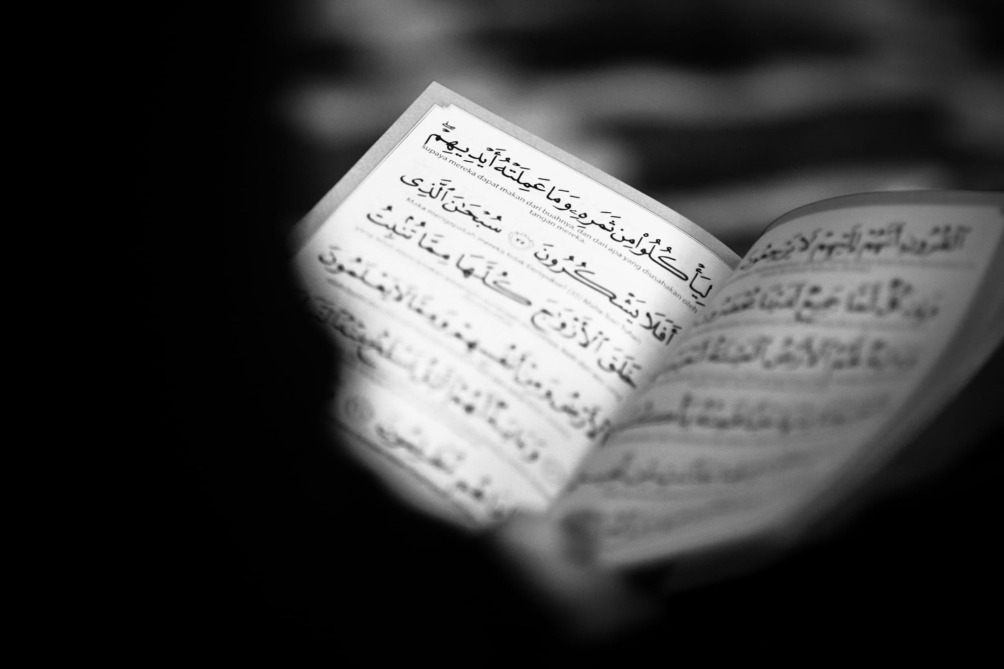 white color, arts culture and entertainment, still life, number, words, close-up, book, text, man made object, selective focus, sentence, creativity, horizontal, HD Wallpaper