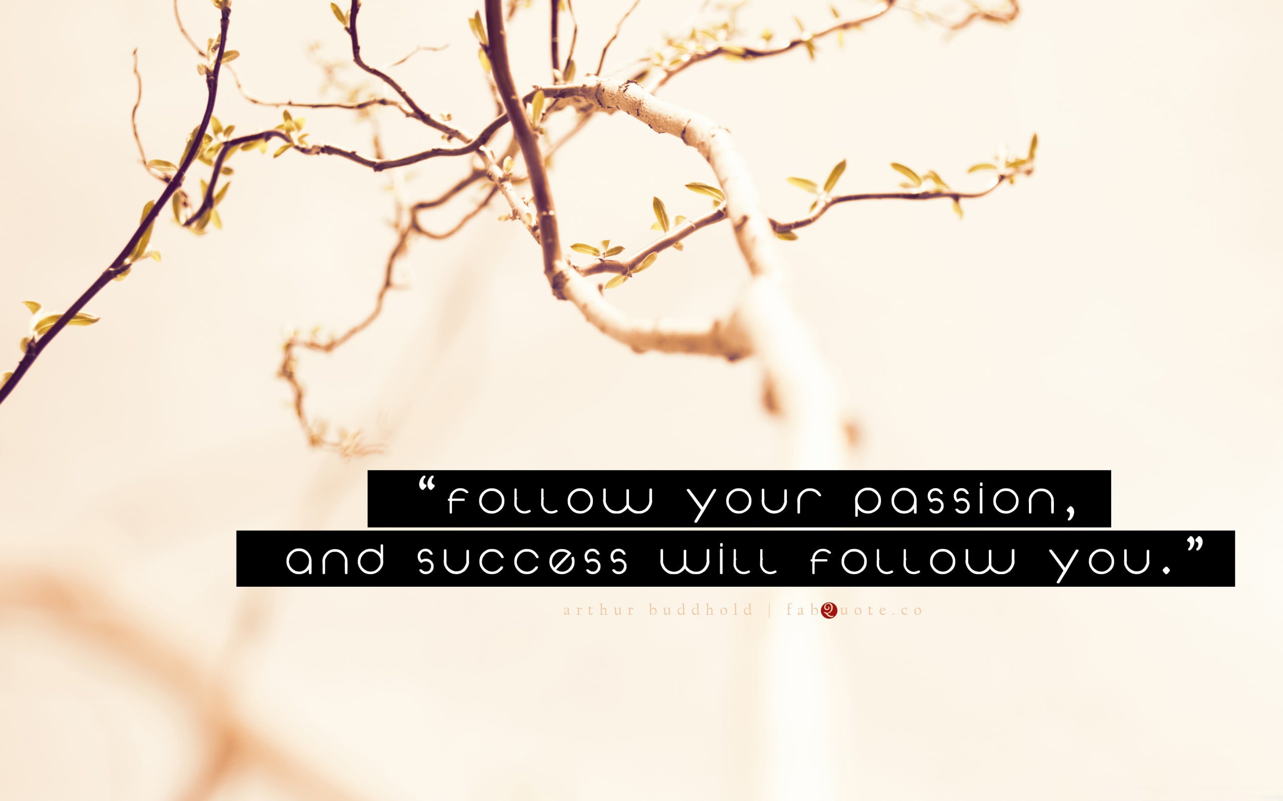 script, tree, quote, w, arthur, sky, success, information, overlay, close-up, abstract, buddhold, communication, no people, information sign, guidance, HD Wallpaper