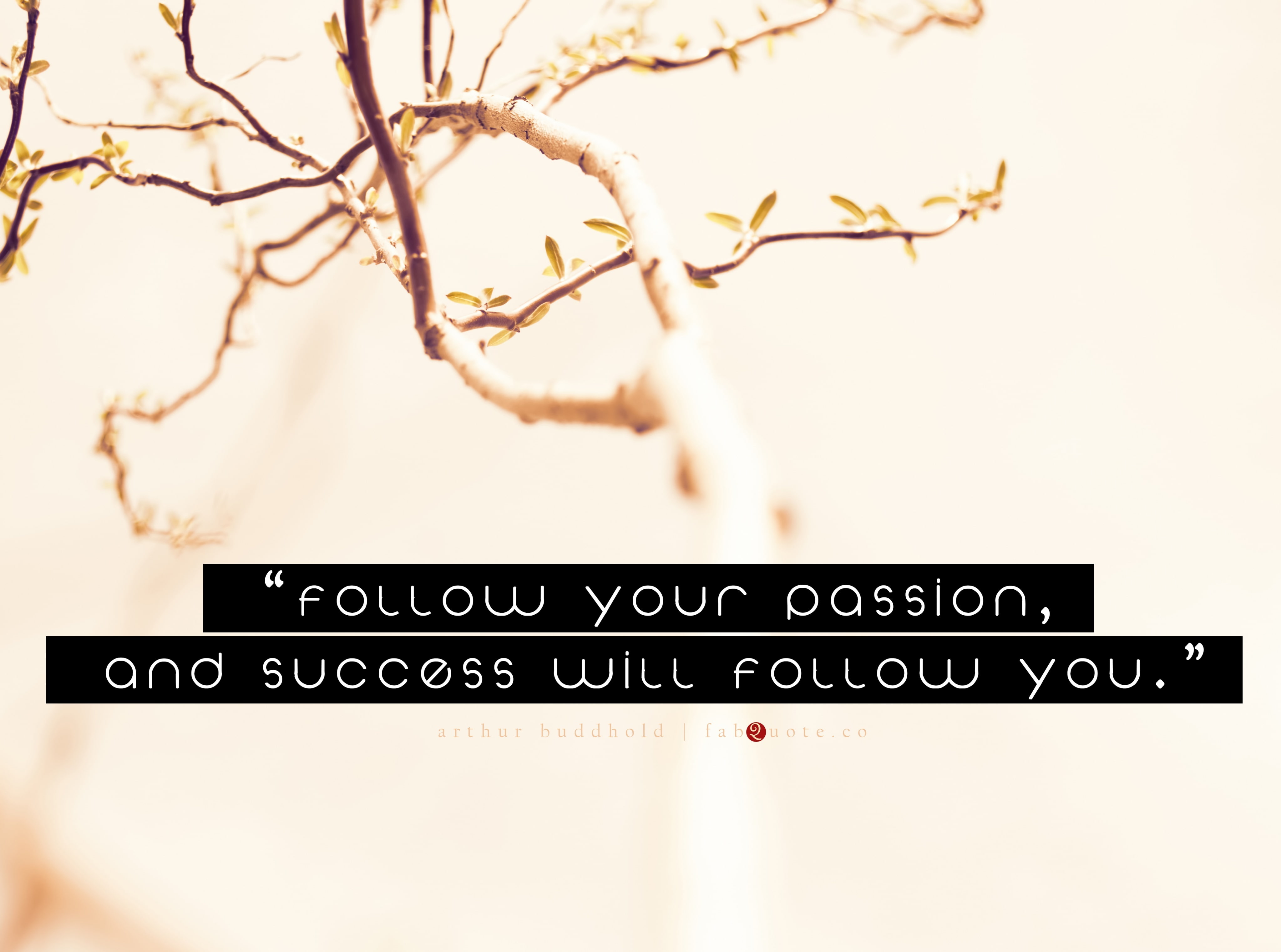 quote, western script, nature, communication, day, success, information, arthur, studio shot, information sign, 4K, focus on foreground, tree, plant, sign, HD Wallpaper