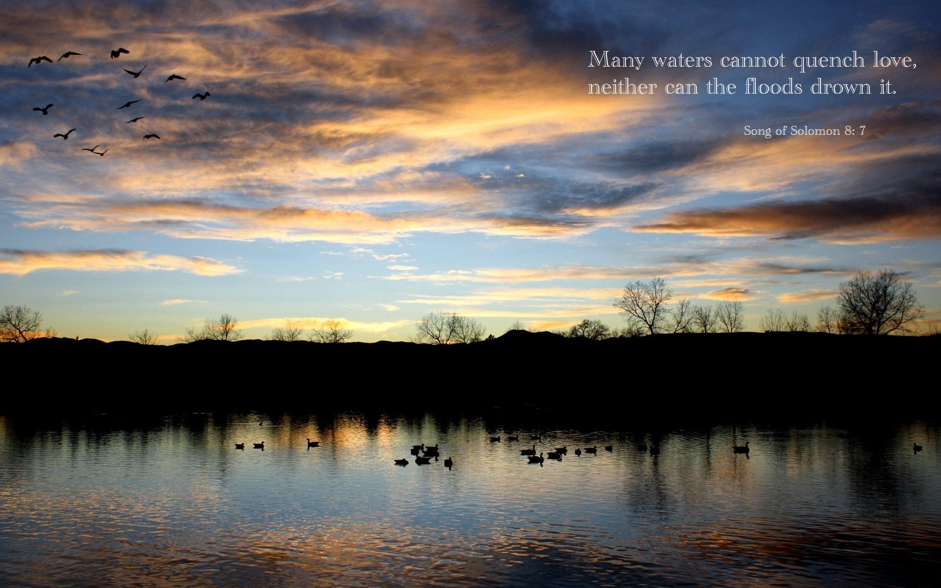 Cloud, nature, cloud - sky, tranquil scene, Quote, vertebrate, Sky, scenics - nature, Christian, no people, animal wildlife, animal, bird, Religion, Religious, HD Wallpaper