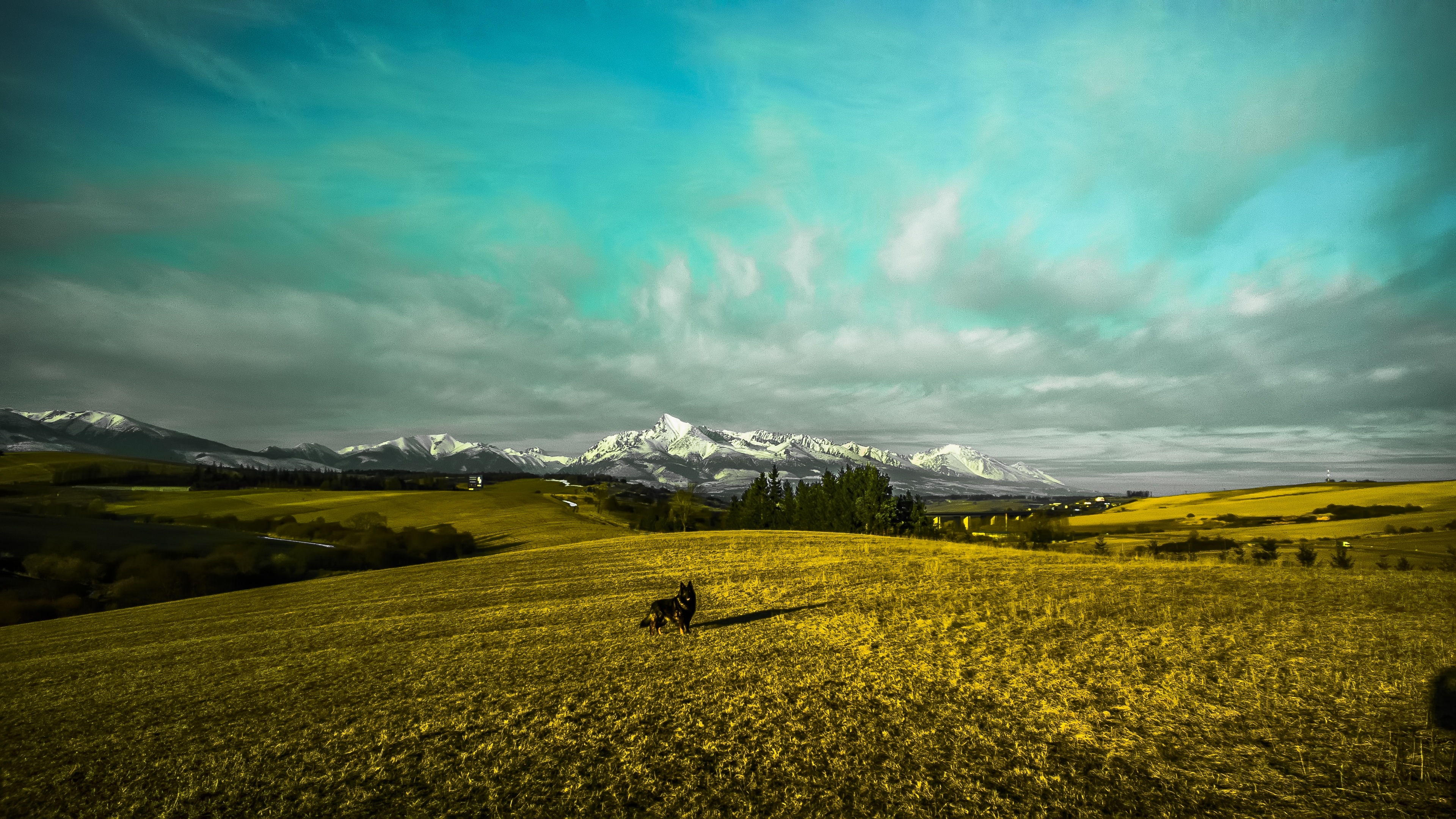 tranquility, snowcapped mountain, scenics - nature, cloud - sky, non-urban scene, fields, 4K, green color, environment, mountain range, landscape, grass, HD Wallpaper