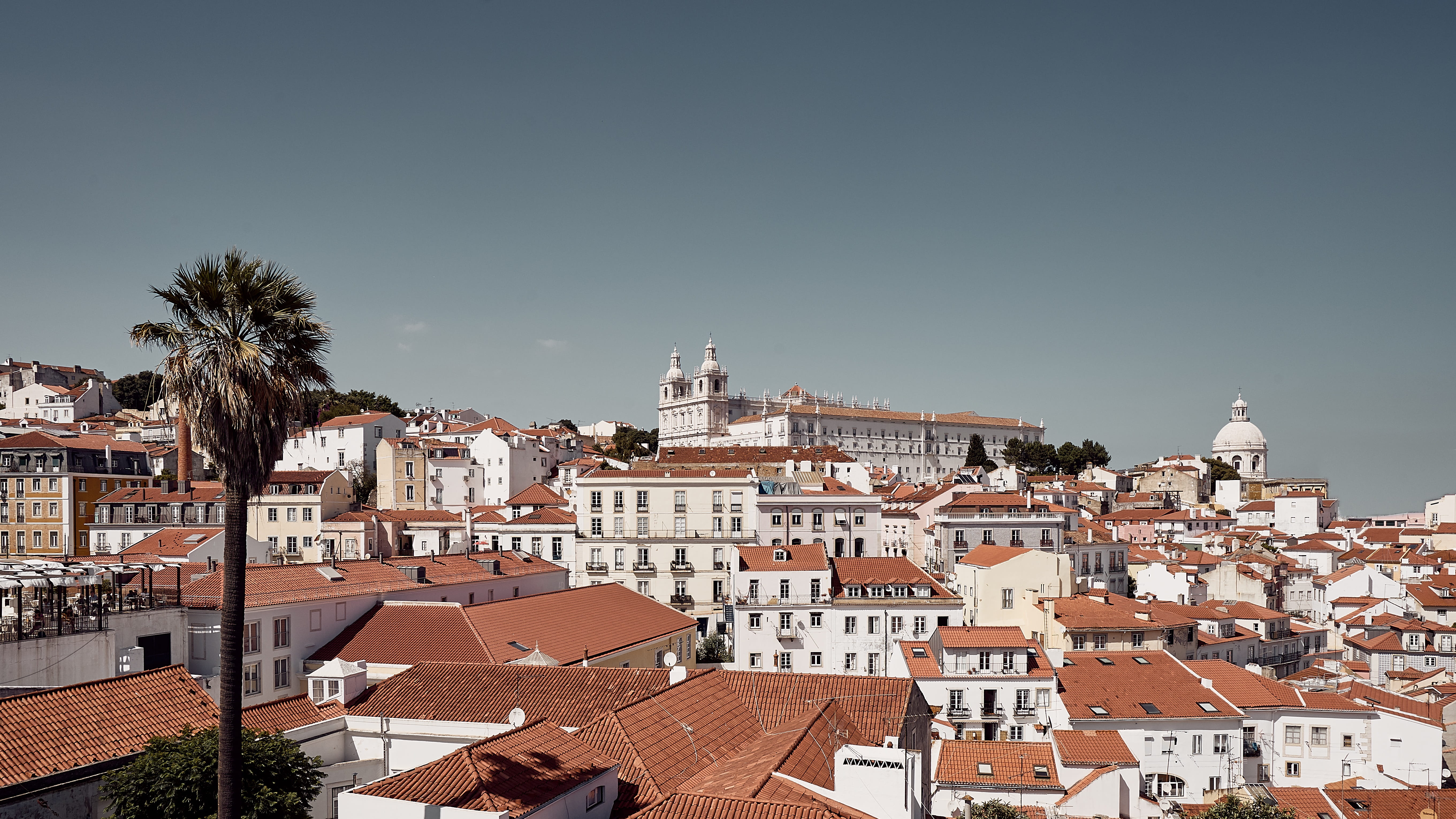 tree, lisboa, cityscape, europe, religion, nature, portugal, building, roof, house, town, townscape, high angle view, built structure, clear sky, old, summer, HD Wallpaper