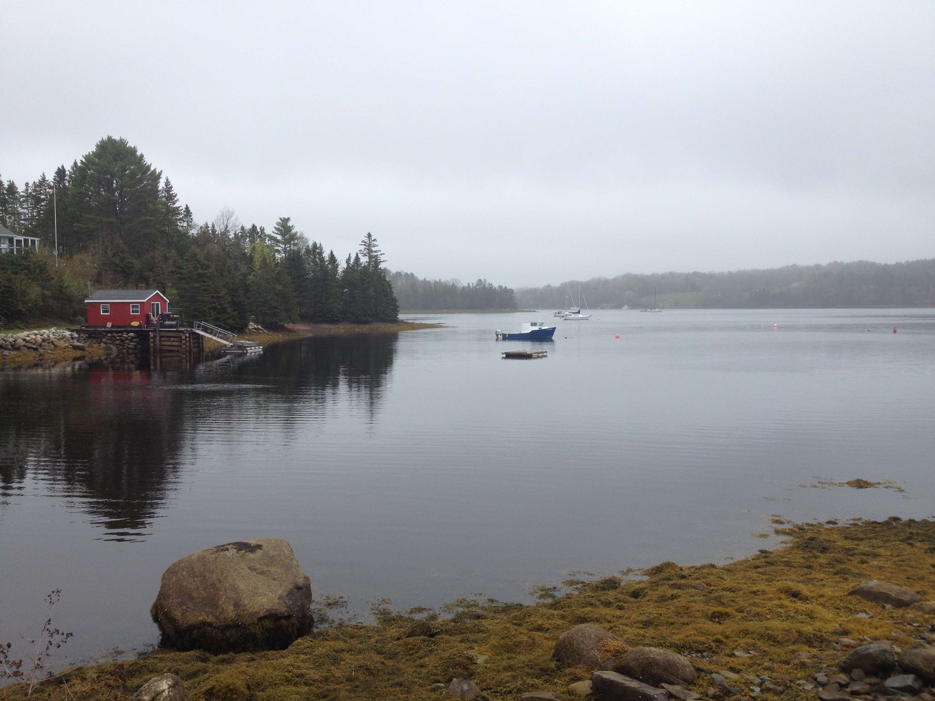 beauty in nature, non-urban scene, sky, habour, rock - object, rick carey, reflection, day, rock, water, tree, scenics - nature, nova scotia, tranquility, HD Wallpaper